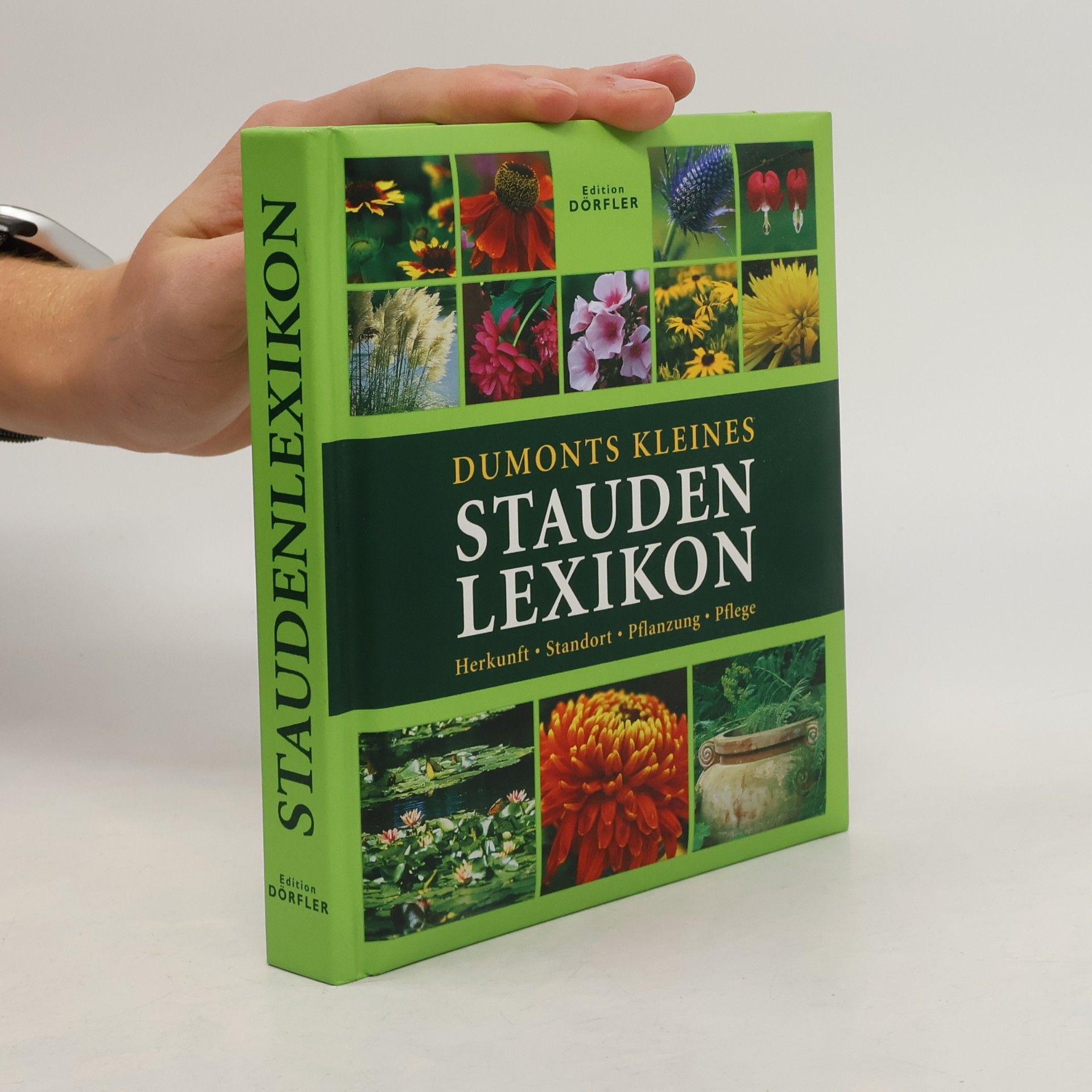 Andrea Rausch Dumonts kleines Stauden Lexikon