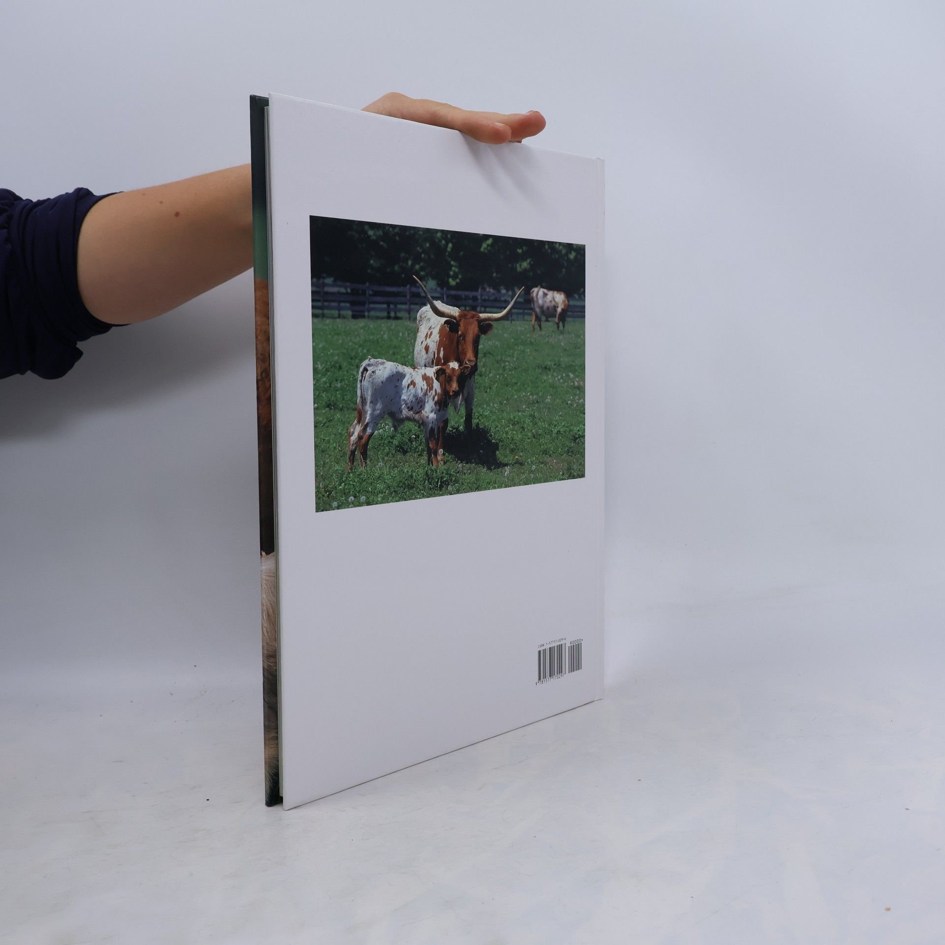 Danyal Payne Cows. A Portrait of the Animal World