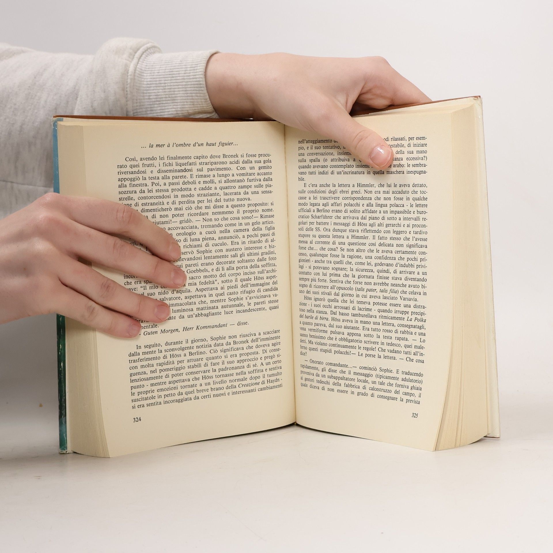 William Styron La scelta di Sophie