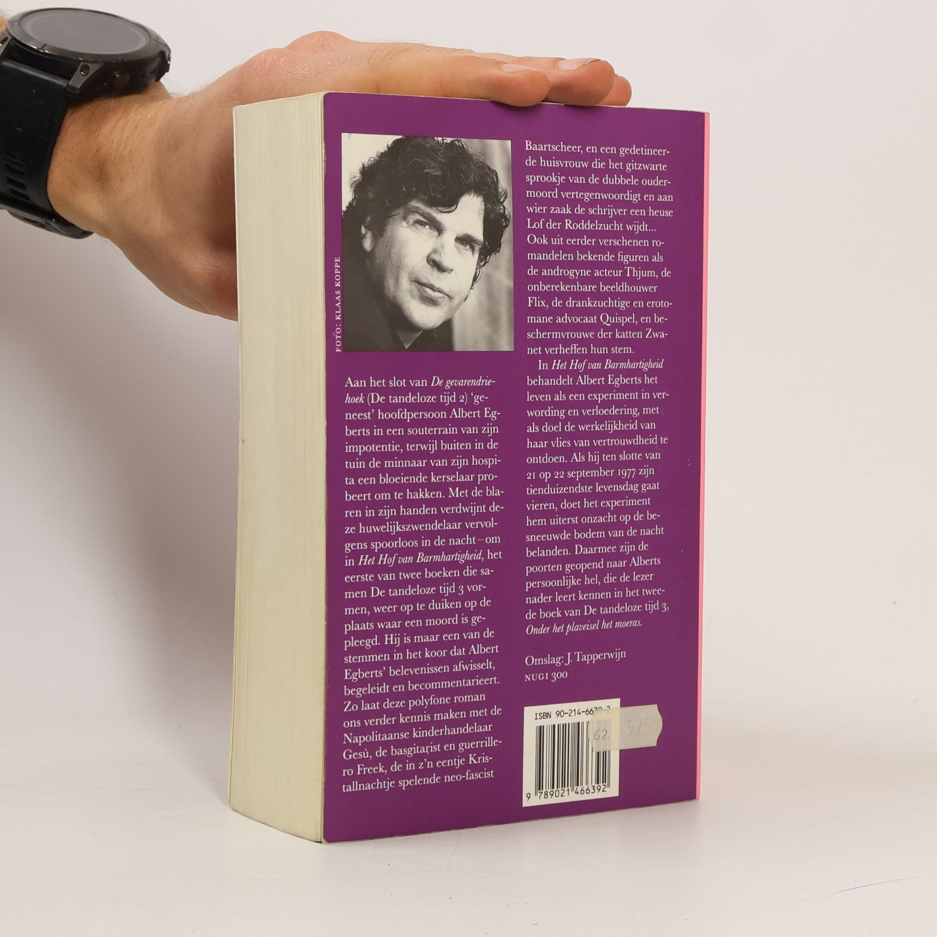 Van der Heijden, A.F.Th. Het Hof van Barmhartigheid Nieuw omslag (De tandeloze tijd, 3)