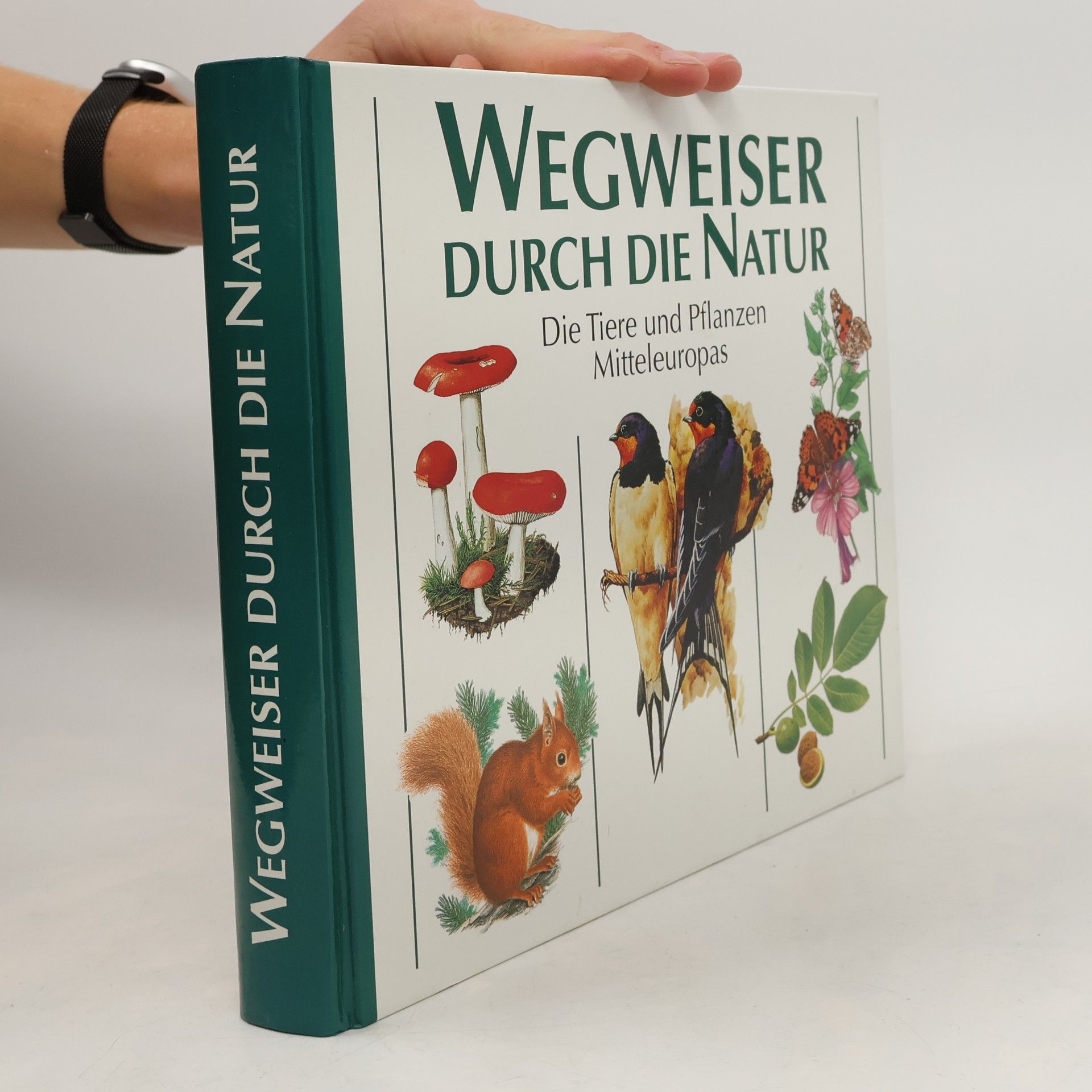 Kolektiv autorů Wegweiser durch die Natur