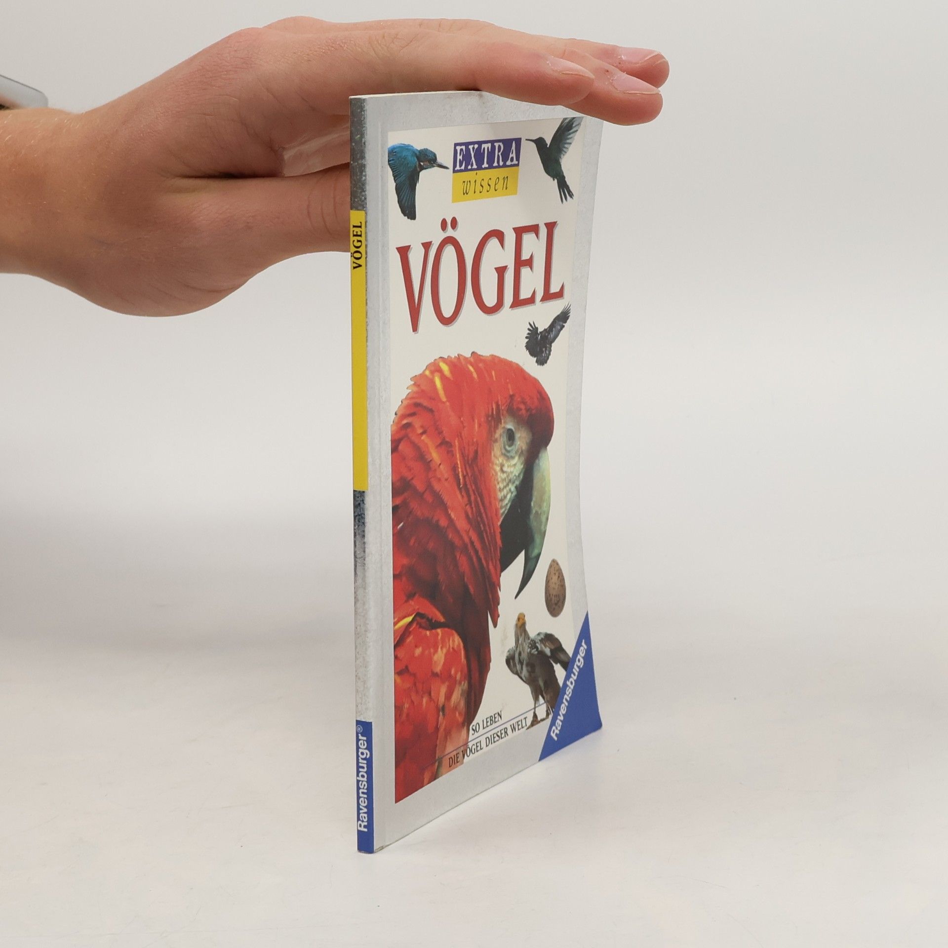 Vögel