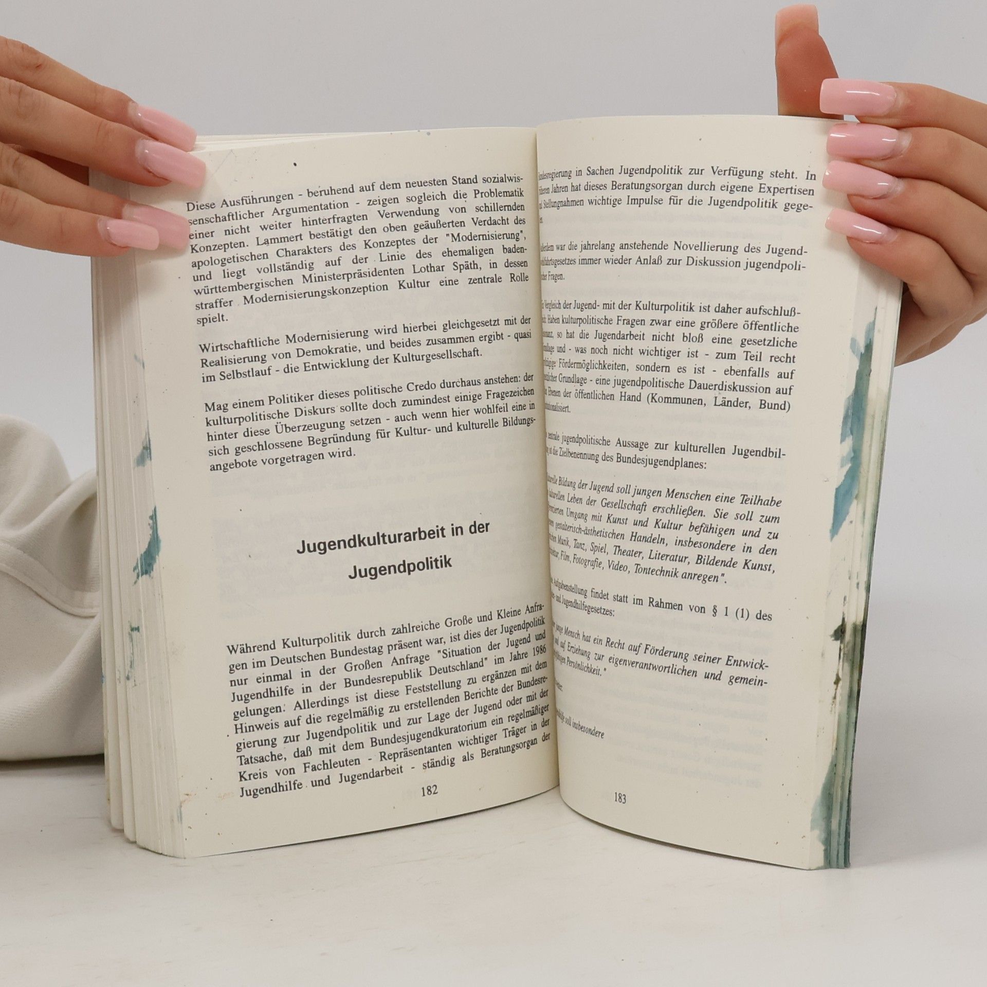 Max Fuchs Jugend, Jugendkultur und Gesellschaft