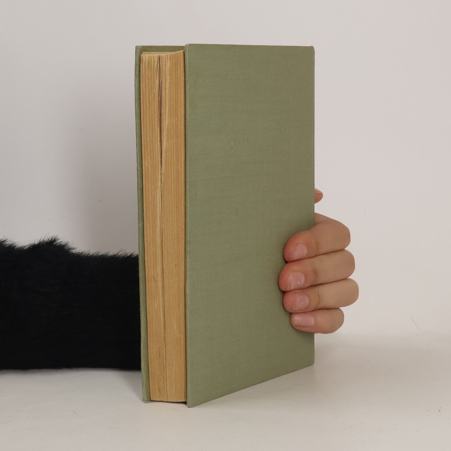 Rex Stout Orchideen für 16 Mädchen