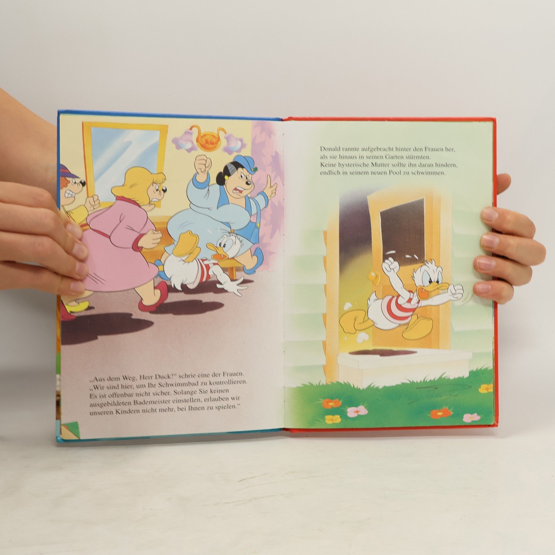 Autorenkollektiv Badespass mit Donald
