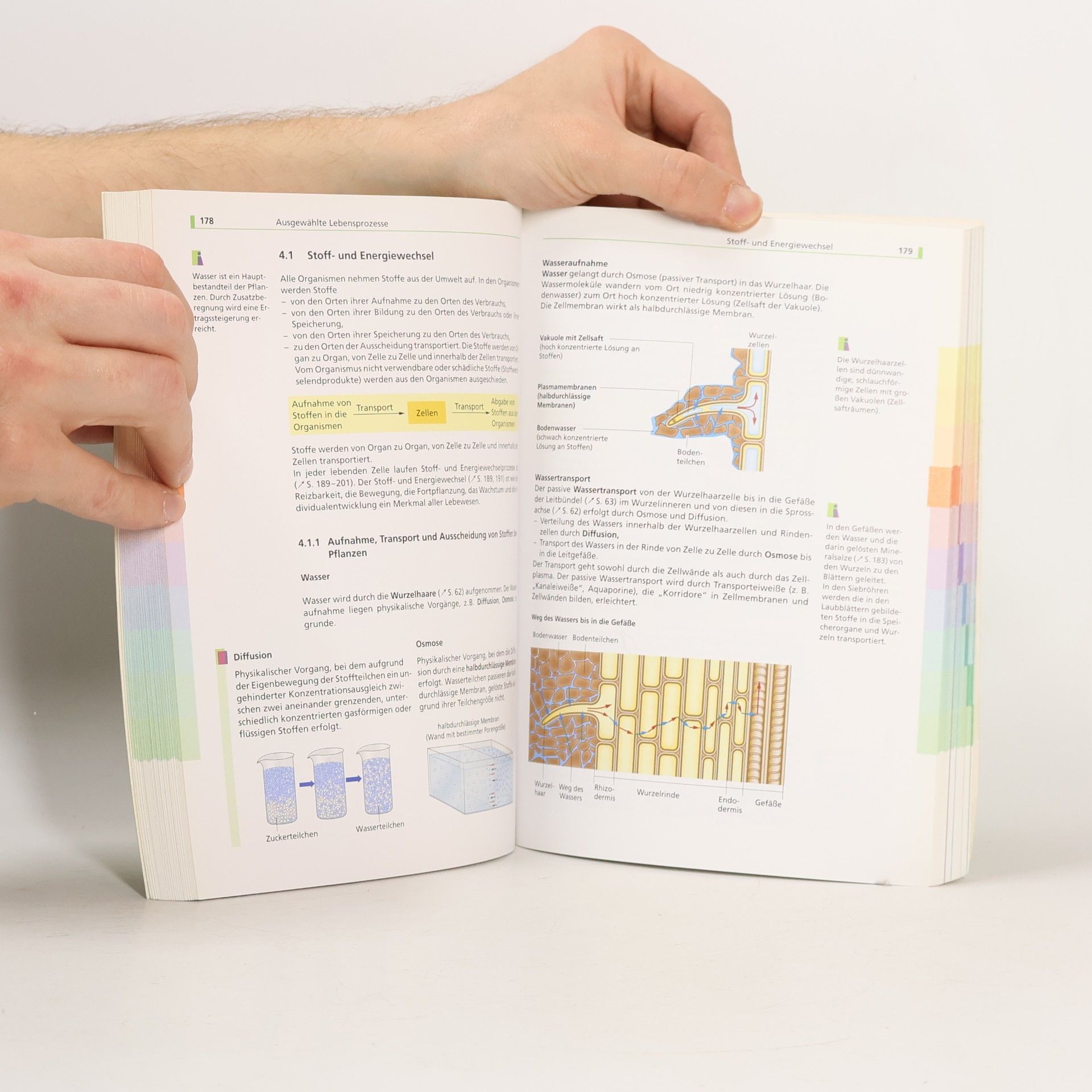 Various authors Schulwissen Biologie