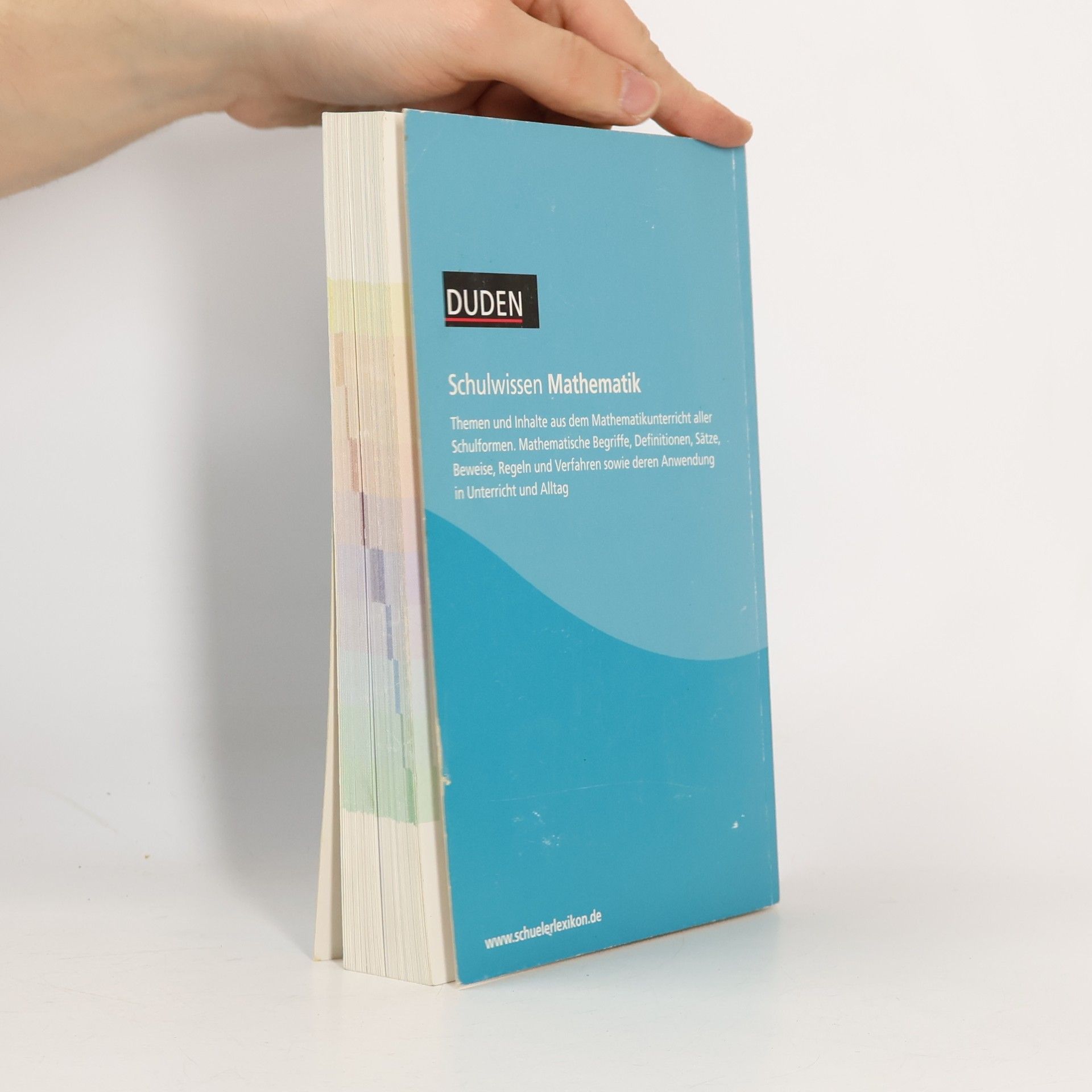 Autorenkollektiv Schulwissen Mathematik
