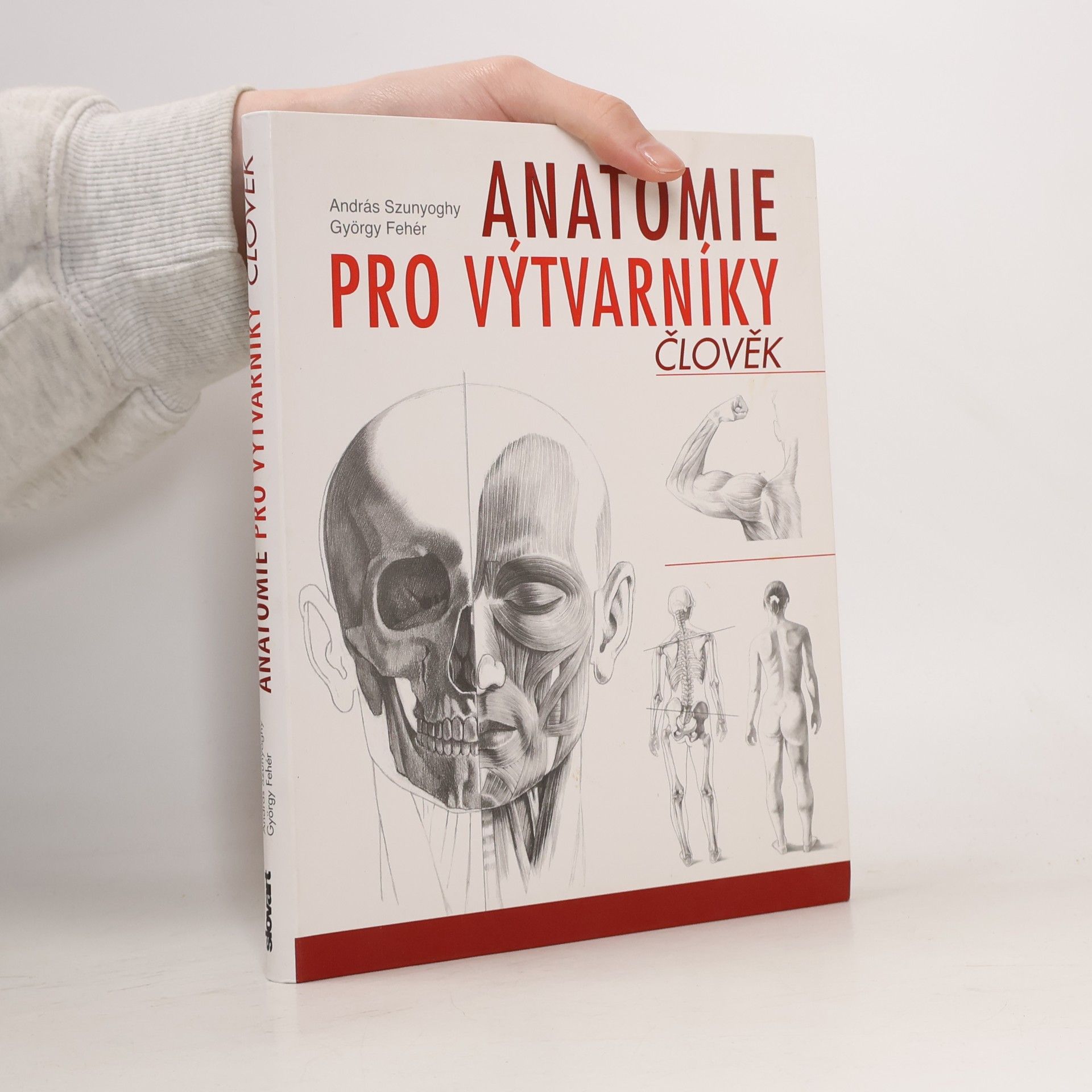 Anatomie pro výtvarníky. Člověk