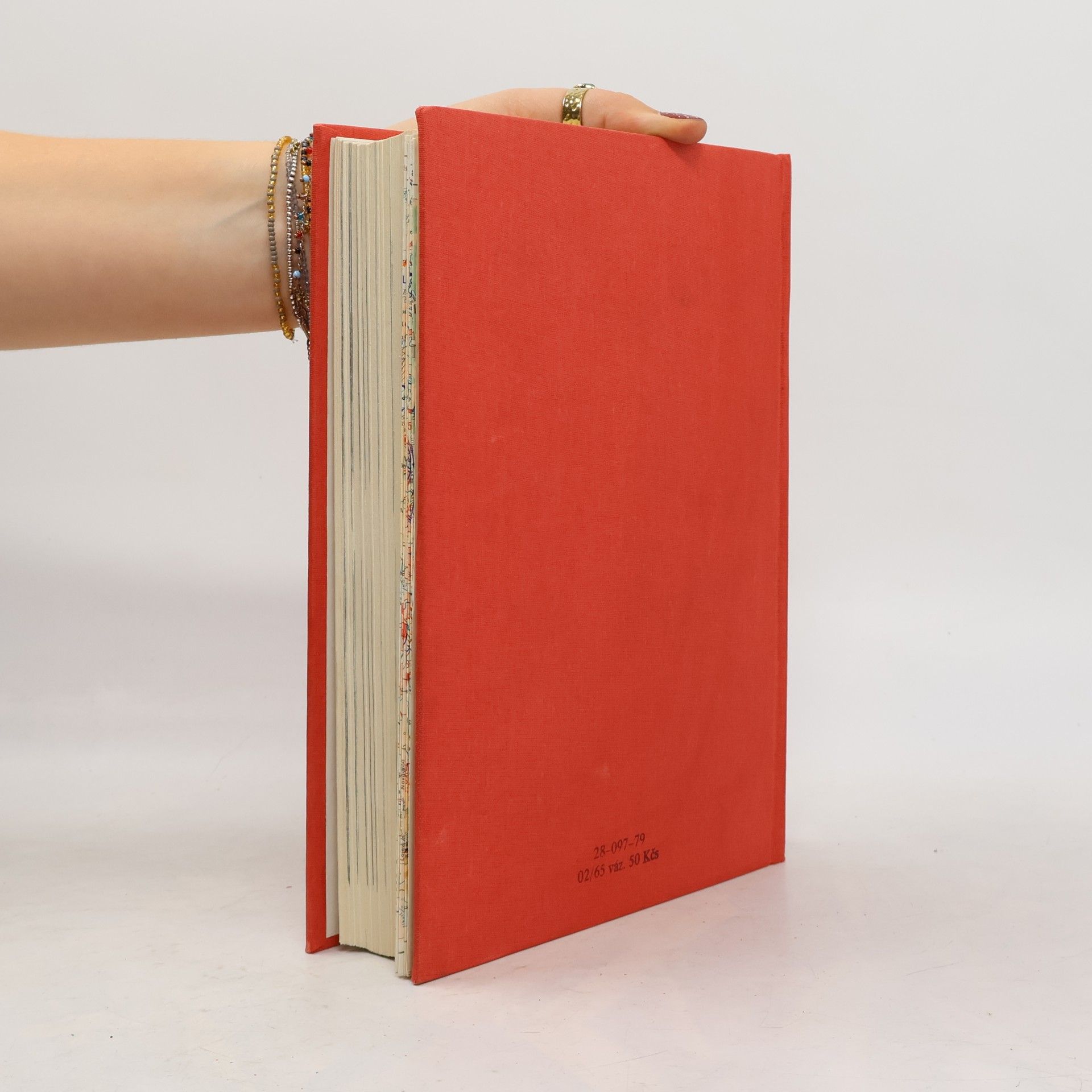 Autorenkollektiv Dějiny druhé světové války 1939-1945 VI.
