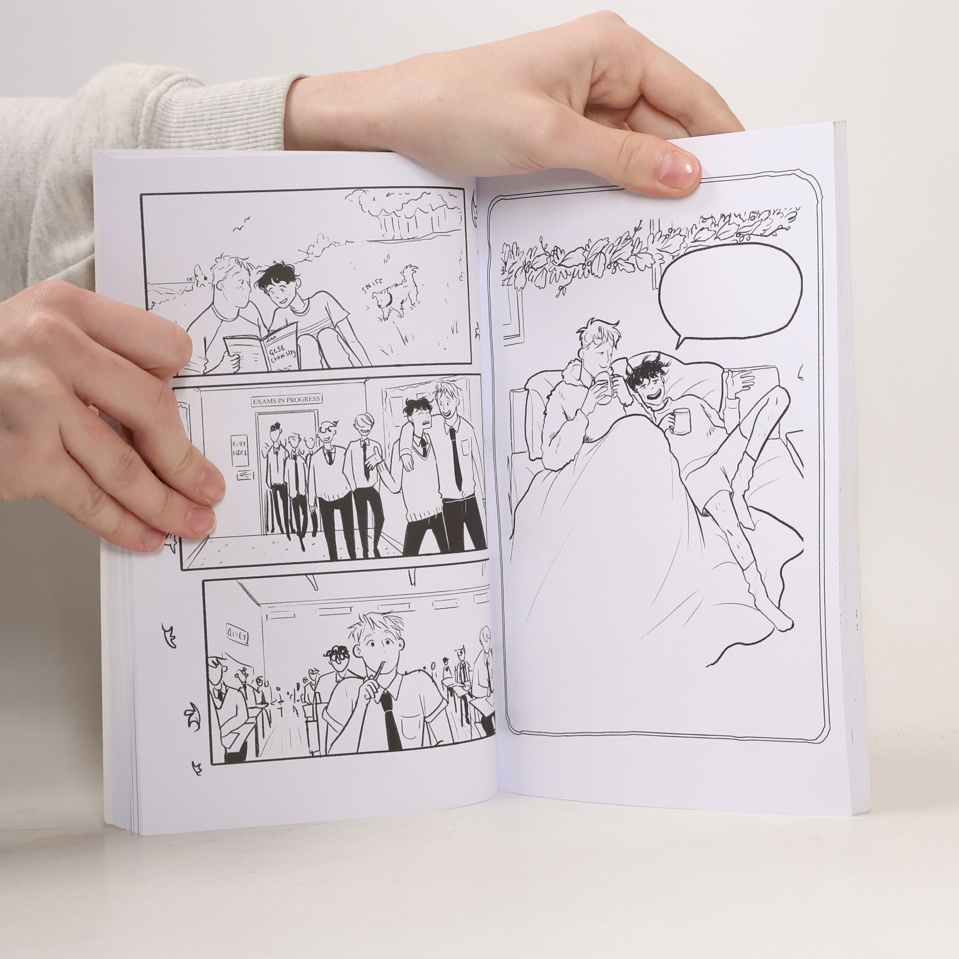 Alice Oseman The Heartstopper Colouring Book