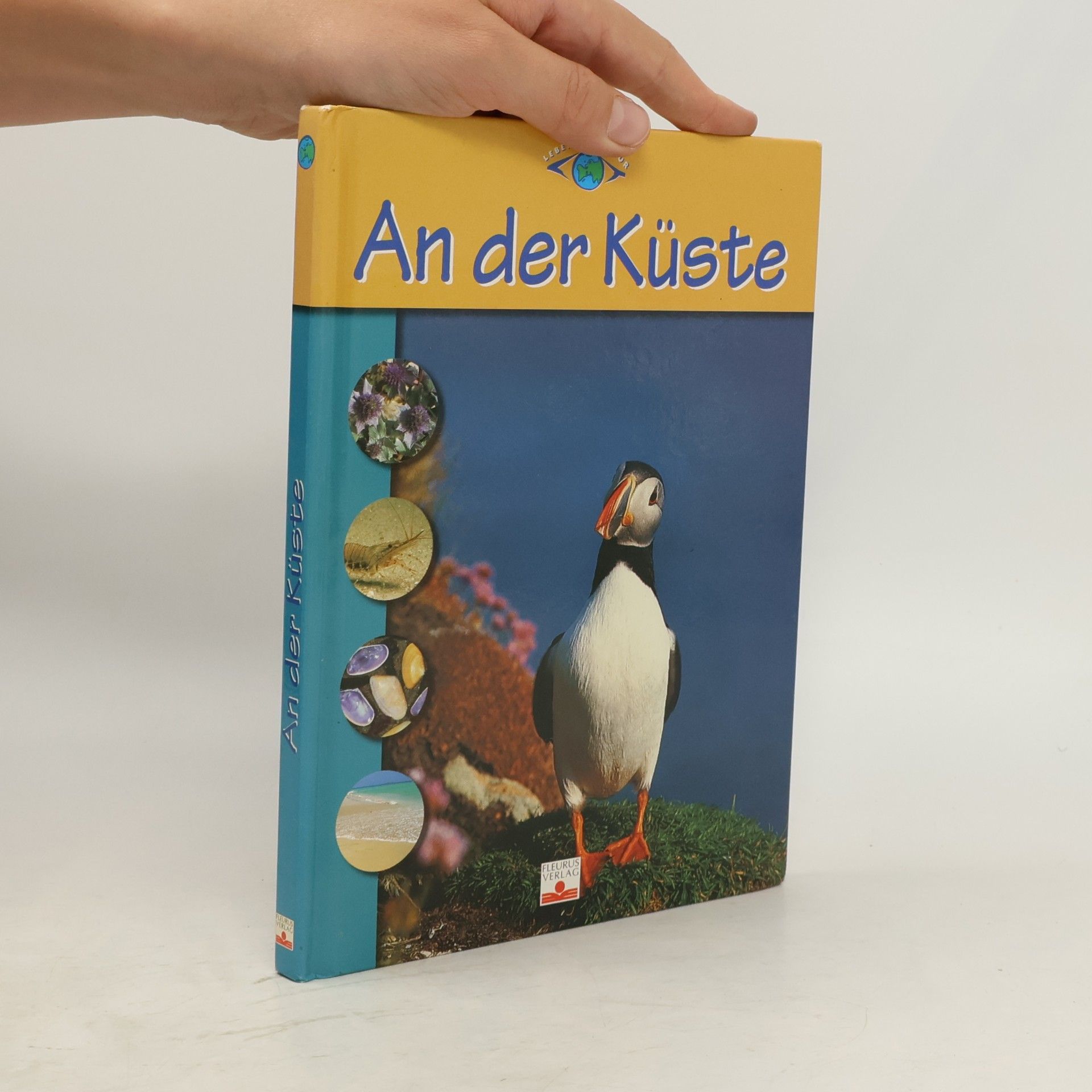 An der Küste