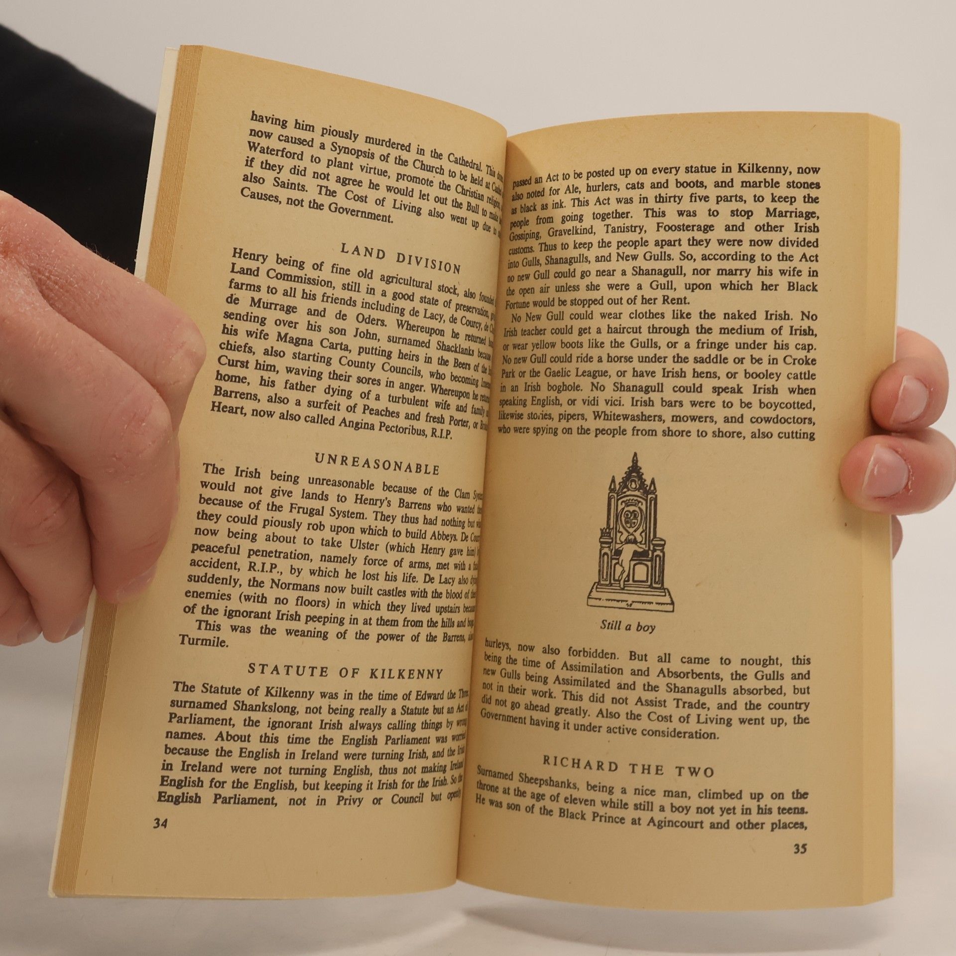 E. J. Delaney The comic history of ireland
