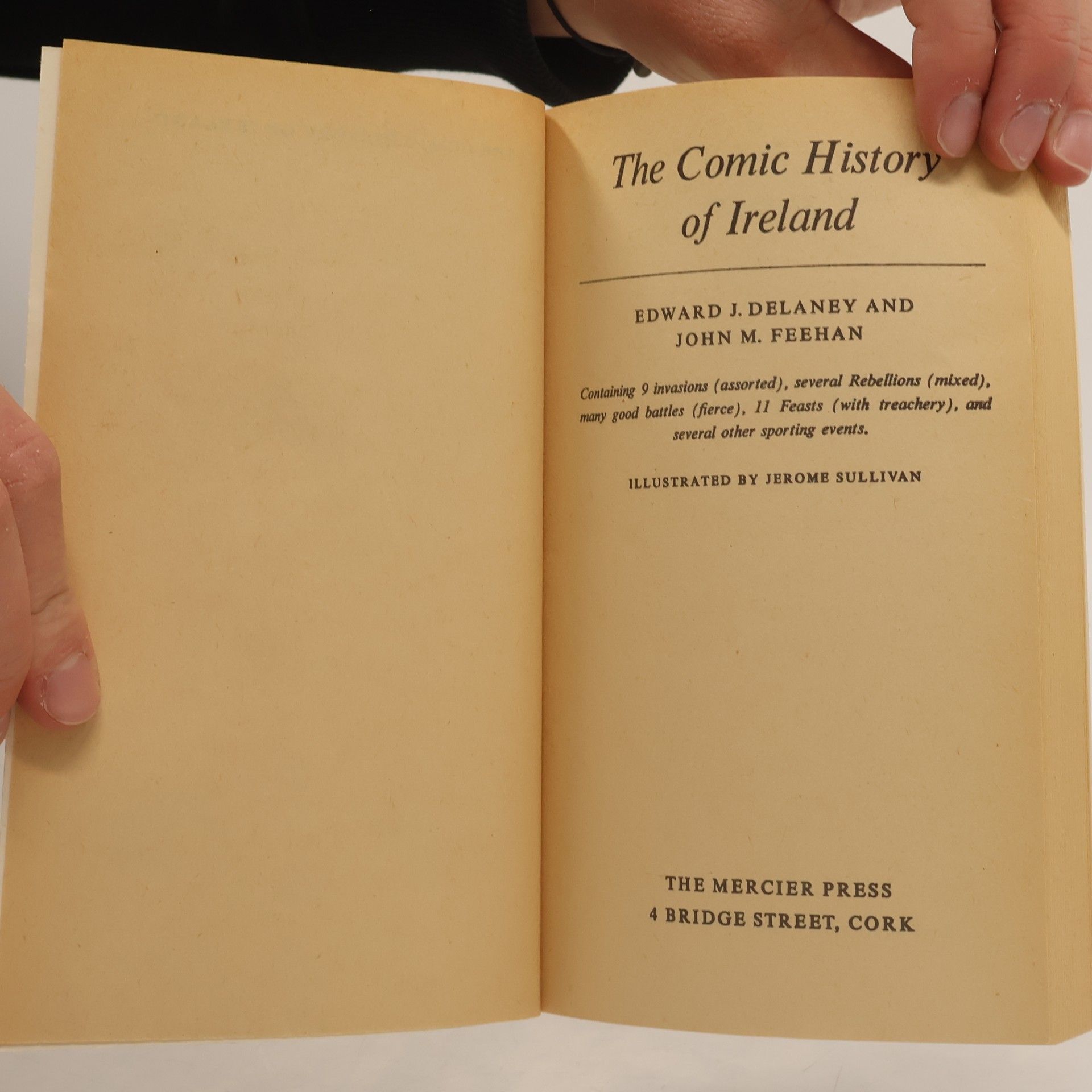E. J. Delaney The comic history of ireland