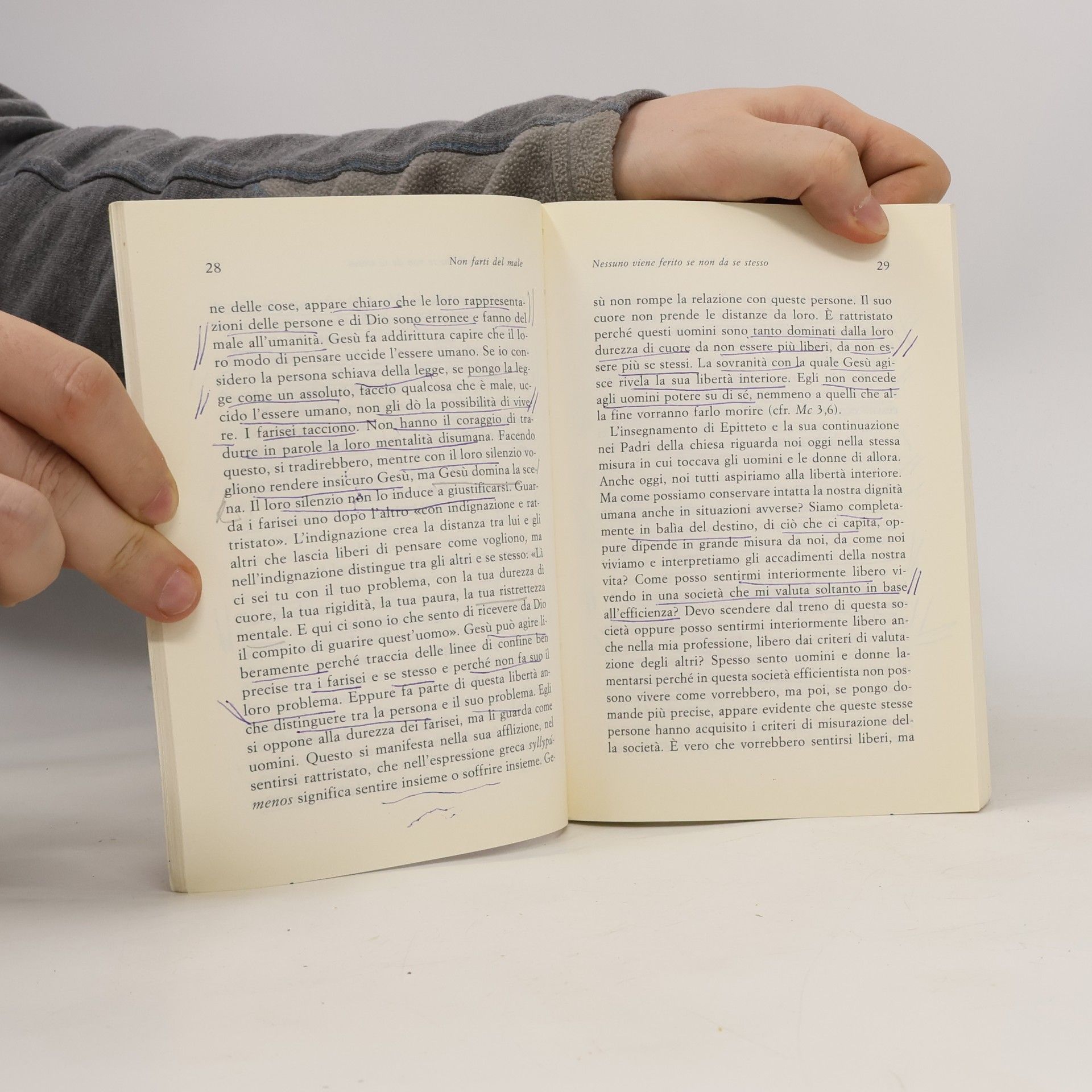 Anselm Grün Non farti del male