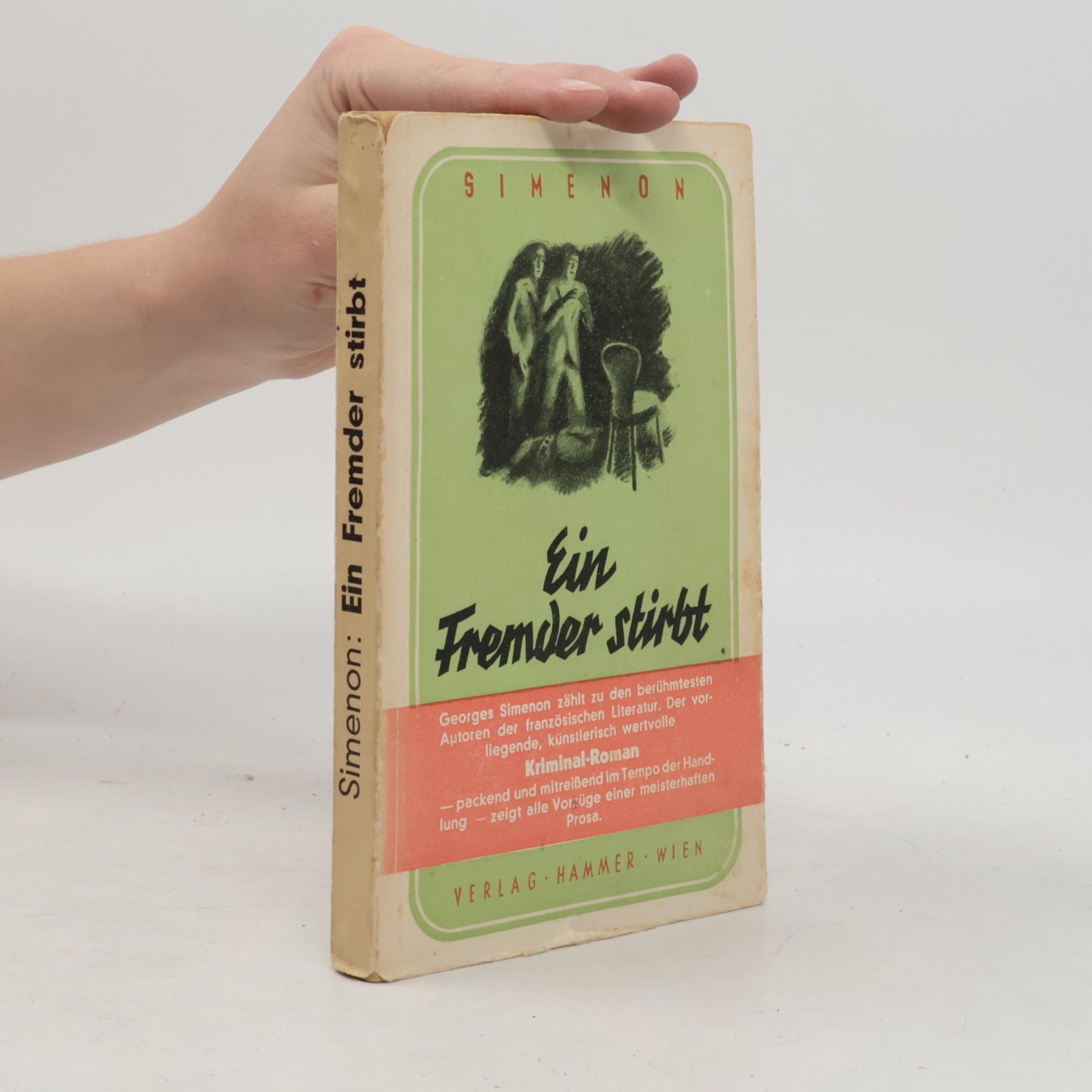 Georges Simenon Ein Fremder stirbt
