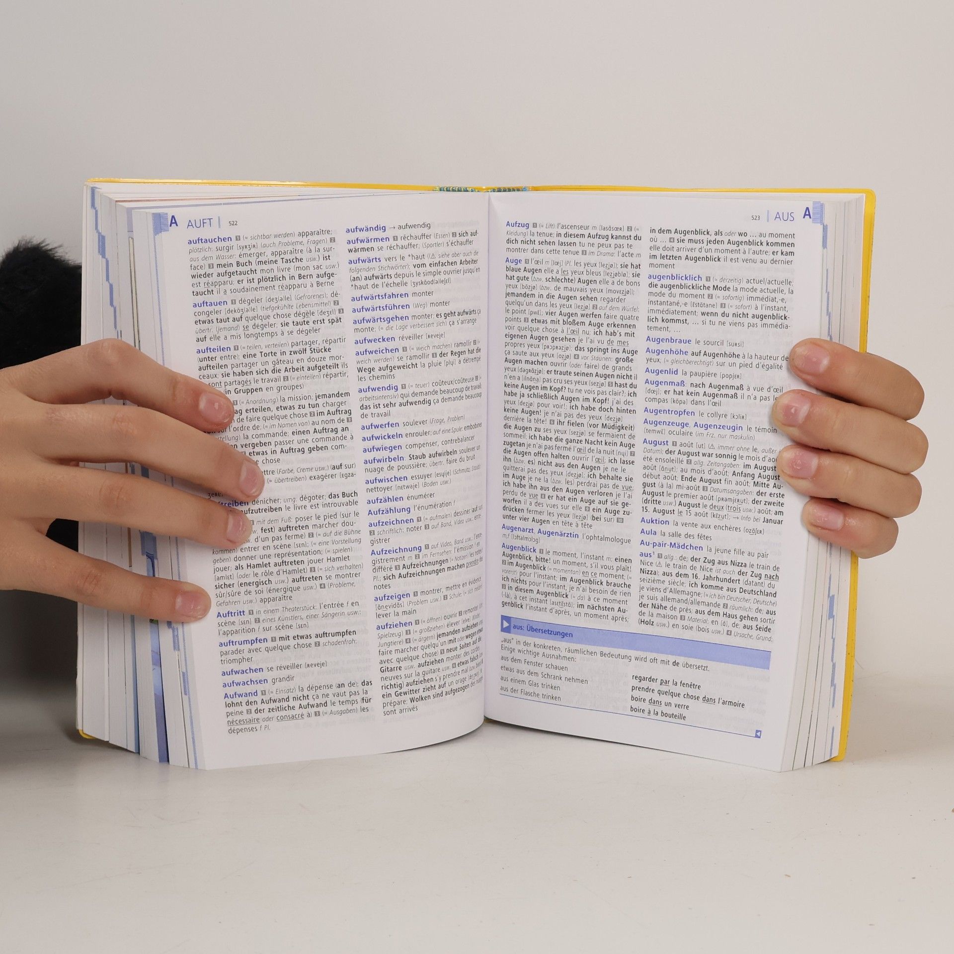 Barbara Epple Langenscheidt, Power-Wörterbuch Französisch