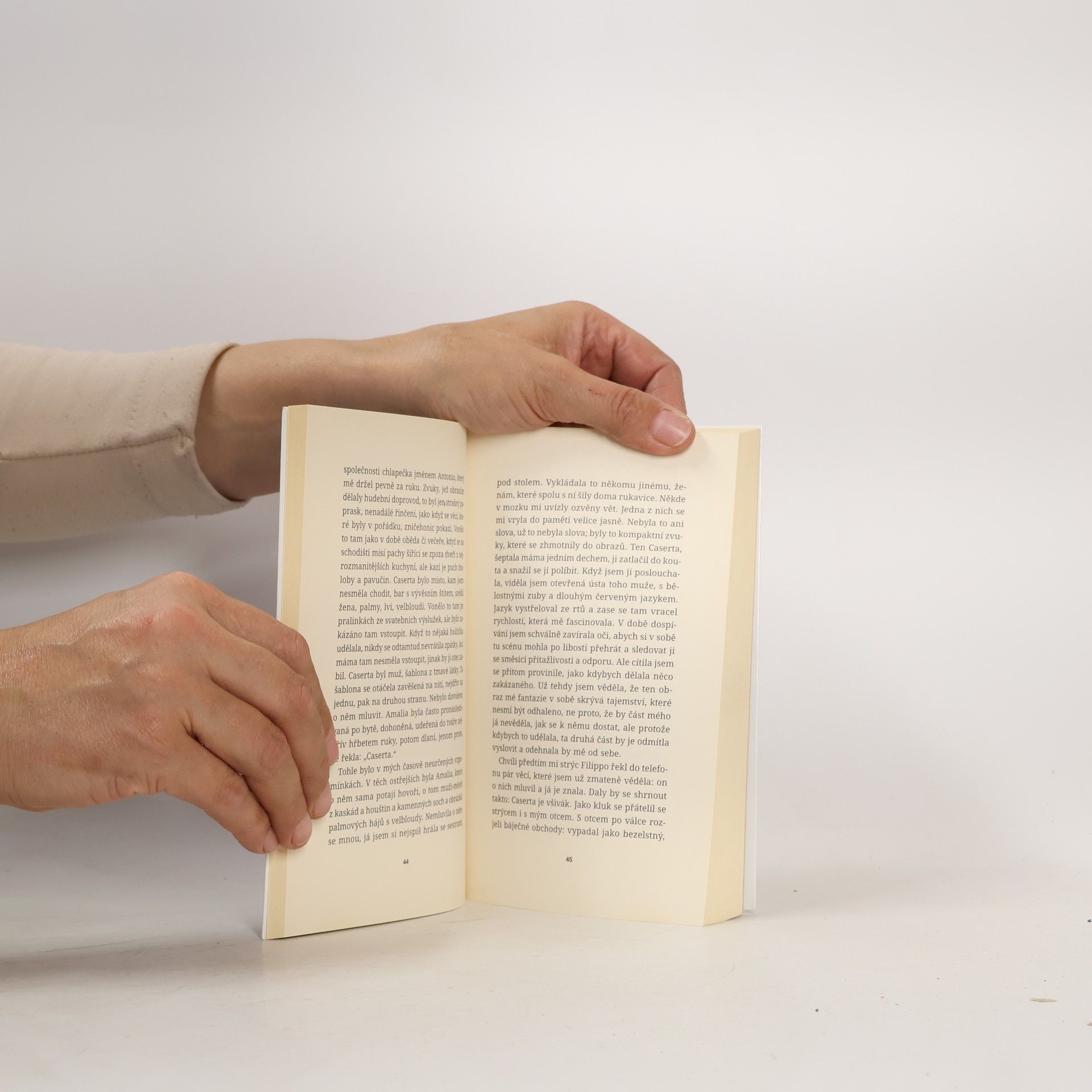 Elena Ferrante Tíživá láska