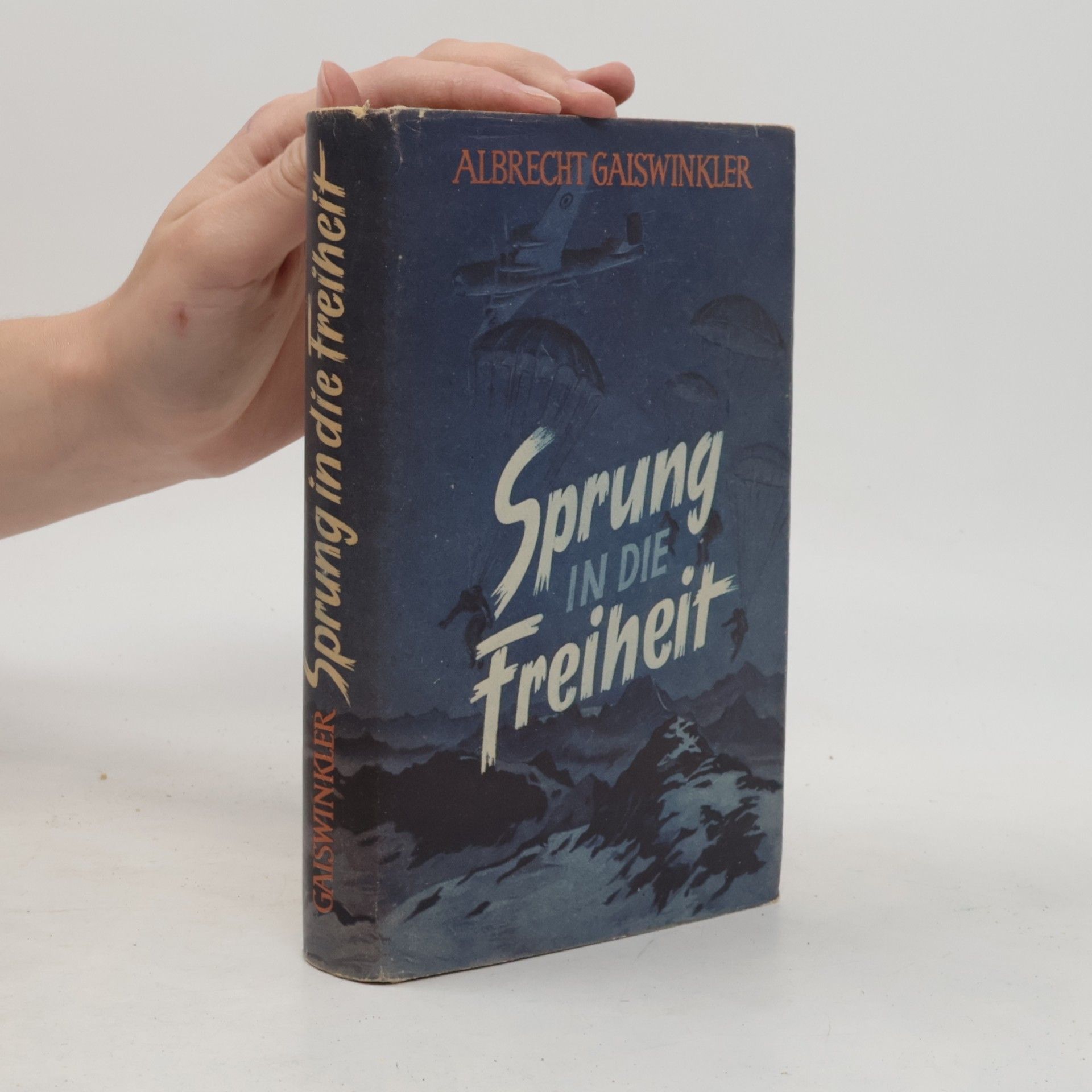 Sprung in die Freiheit