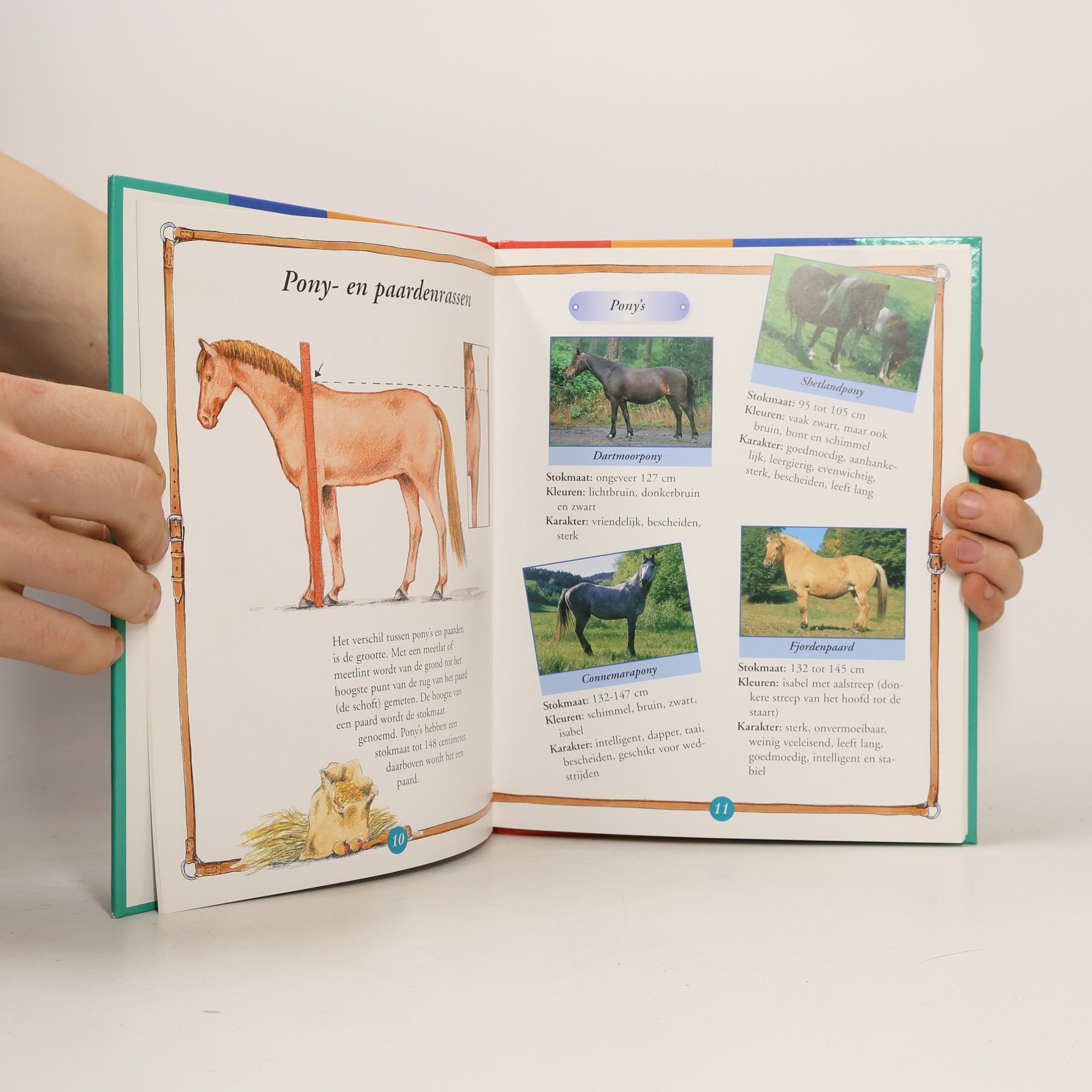 Margret Hampe Mijn paardenboek (Deltas raadgever voor kinderen)