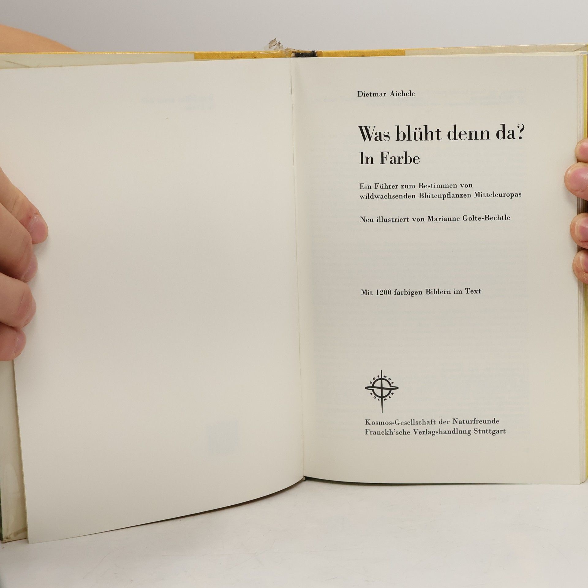 D. Aichele Was blüht denn da?