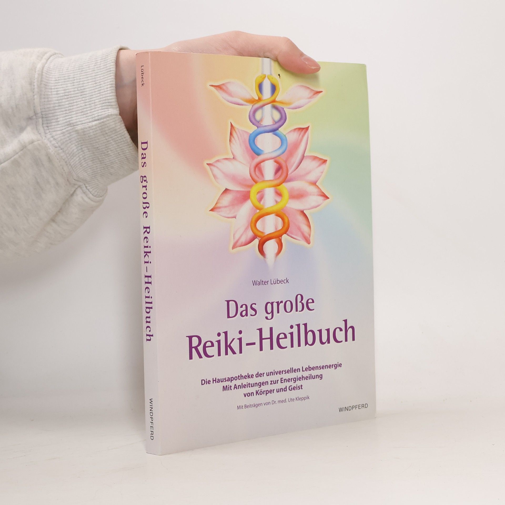 Walter Lübeck Das große Reiki-Heilbuch