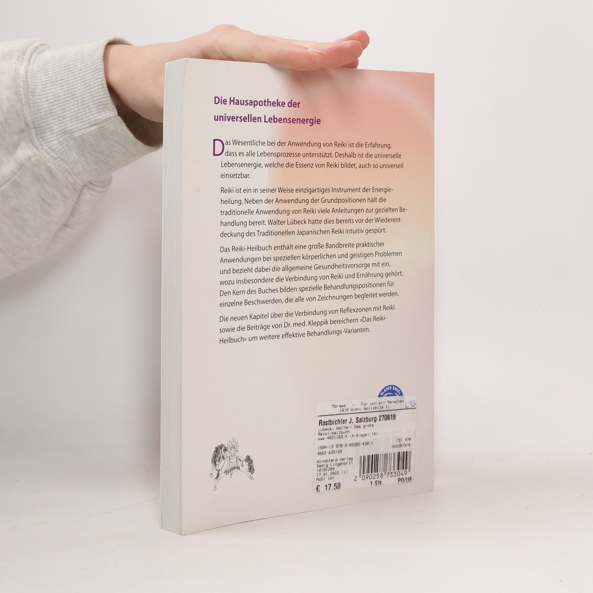 Walter Lübeck Das große Reiki-Heilbuch