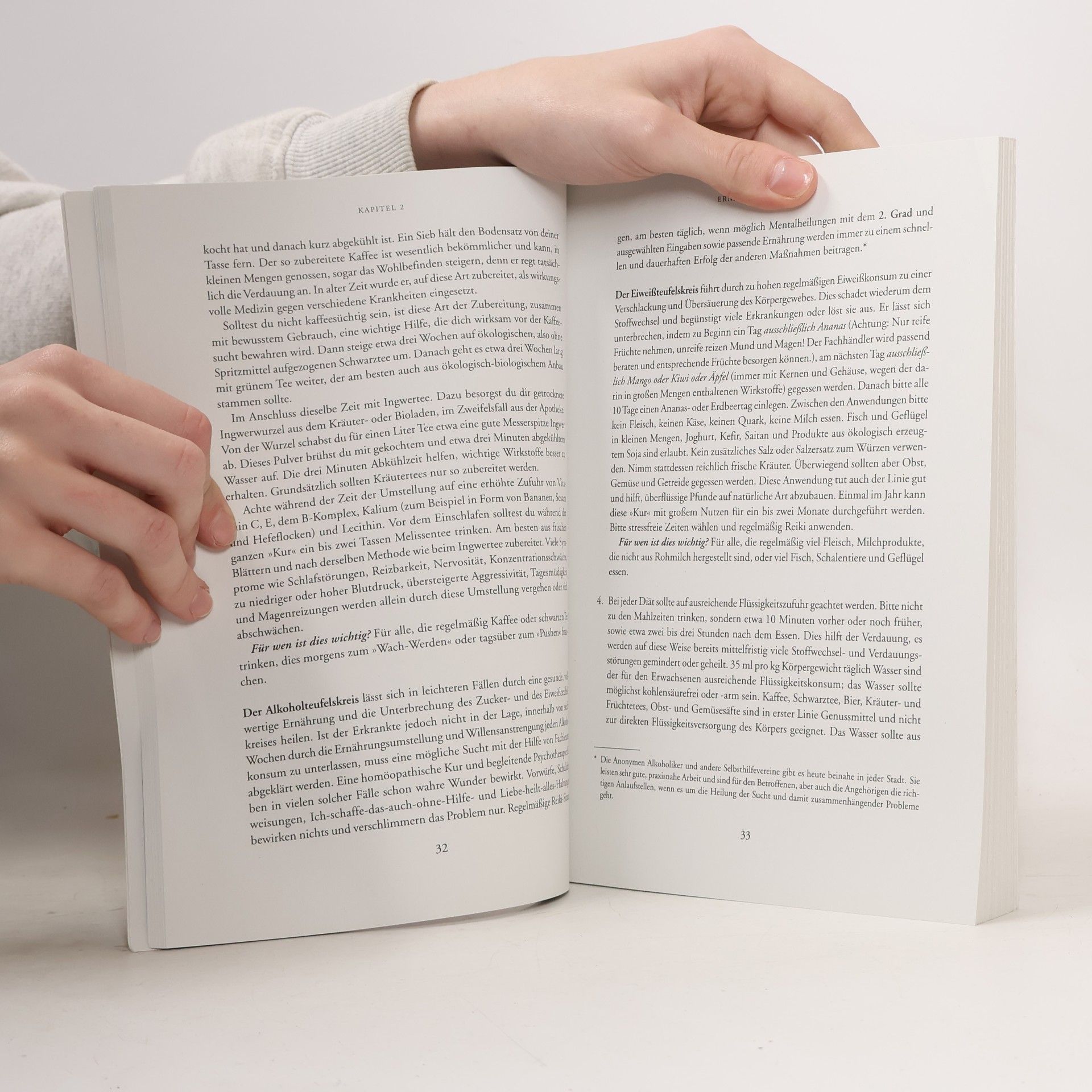 Walter Lübeck Das große Reiki-Heilbuch