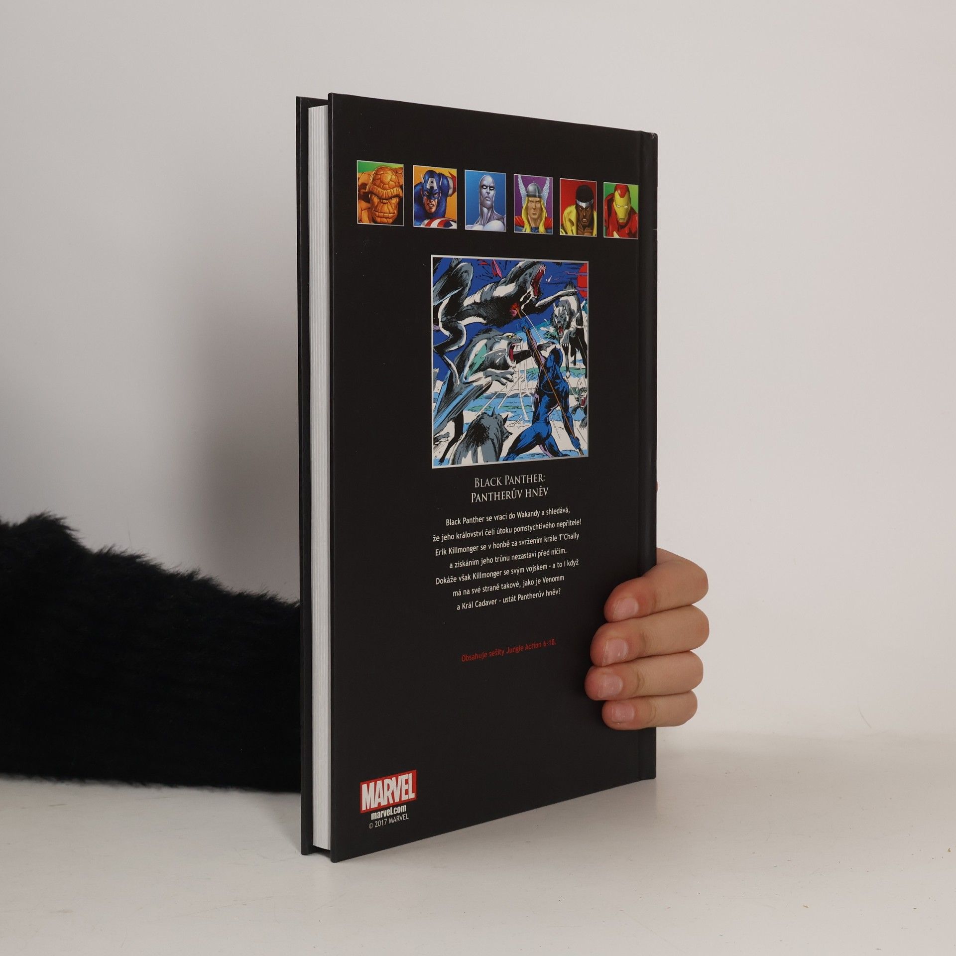 Don McGregor Ultimátní komiksový úlet 111. Black Panther: Pantherův hněv