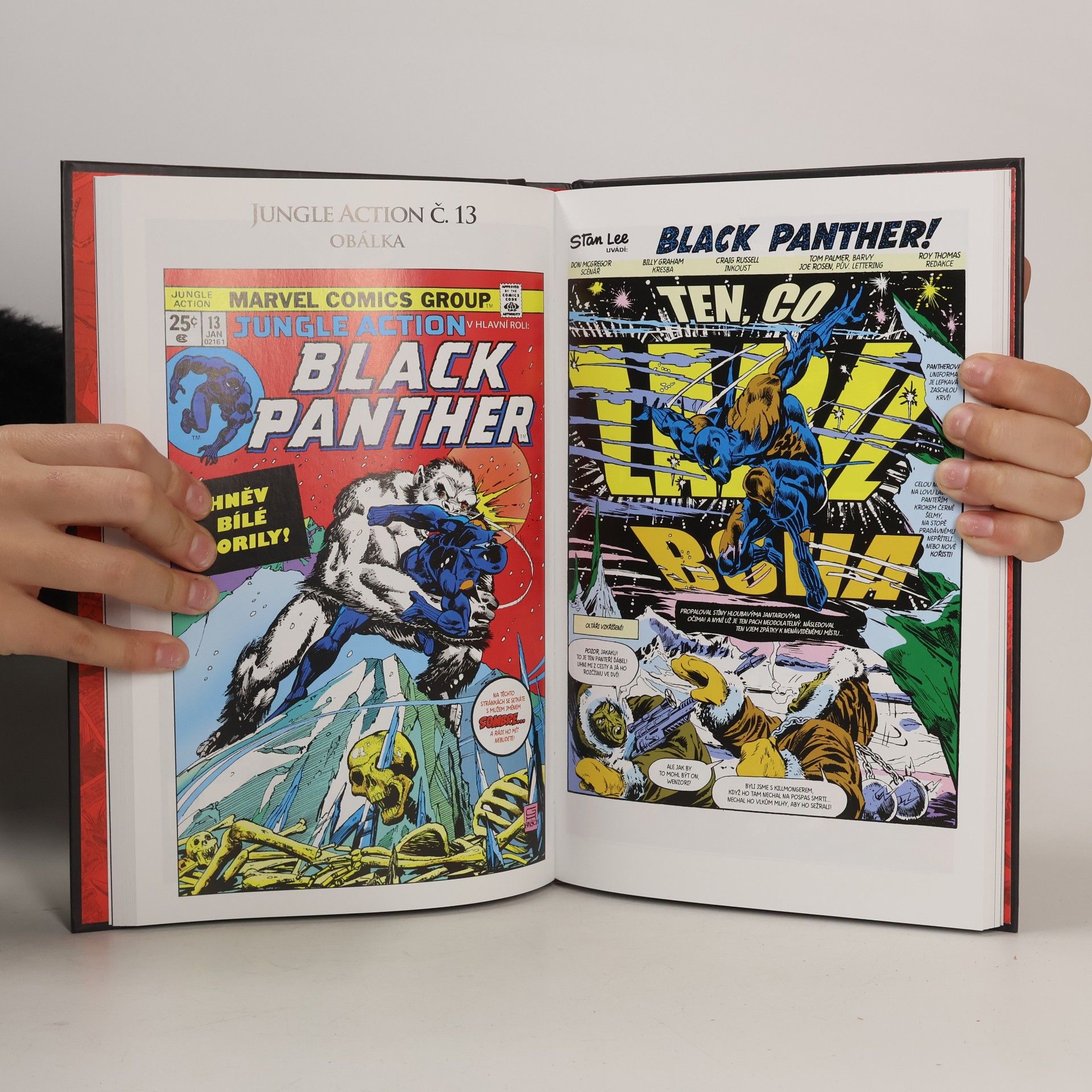 Don McGregor Ultimátní komiksový úlet 111. Black Panther: Pantherův hněv