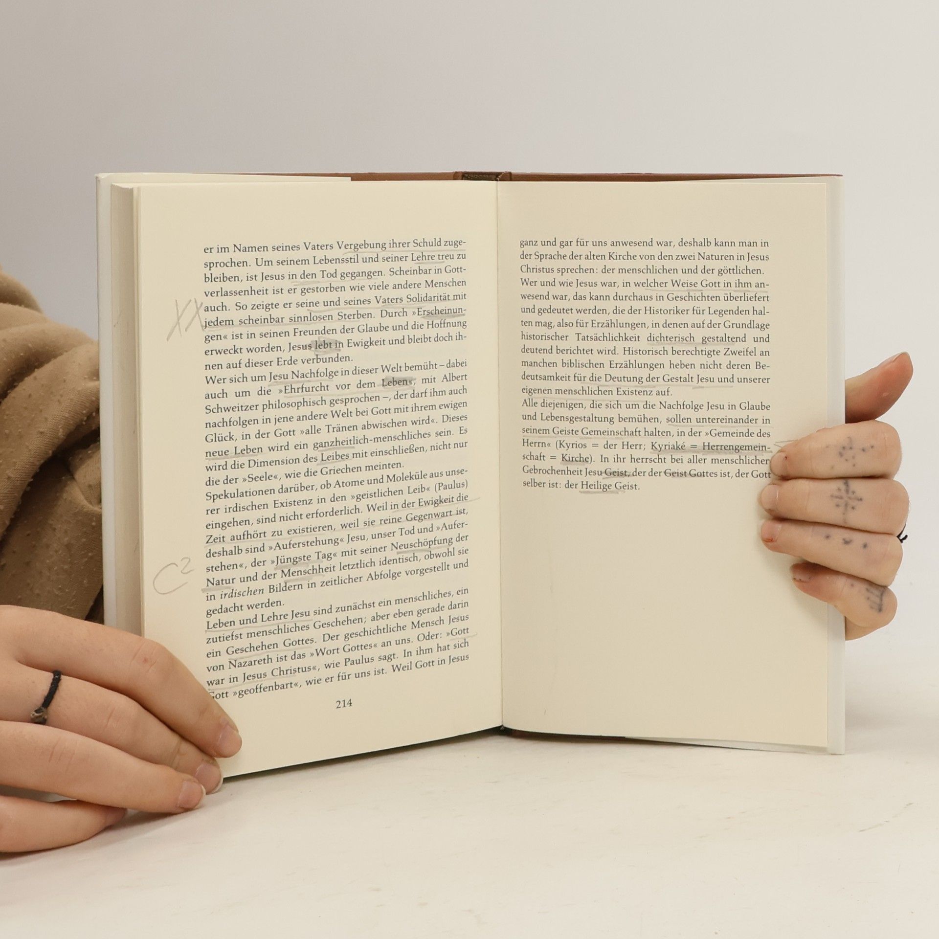 Albert Schweitzer Gespräche über das Neue Testament