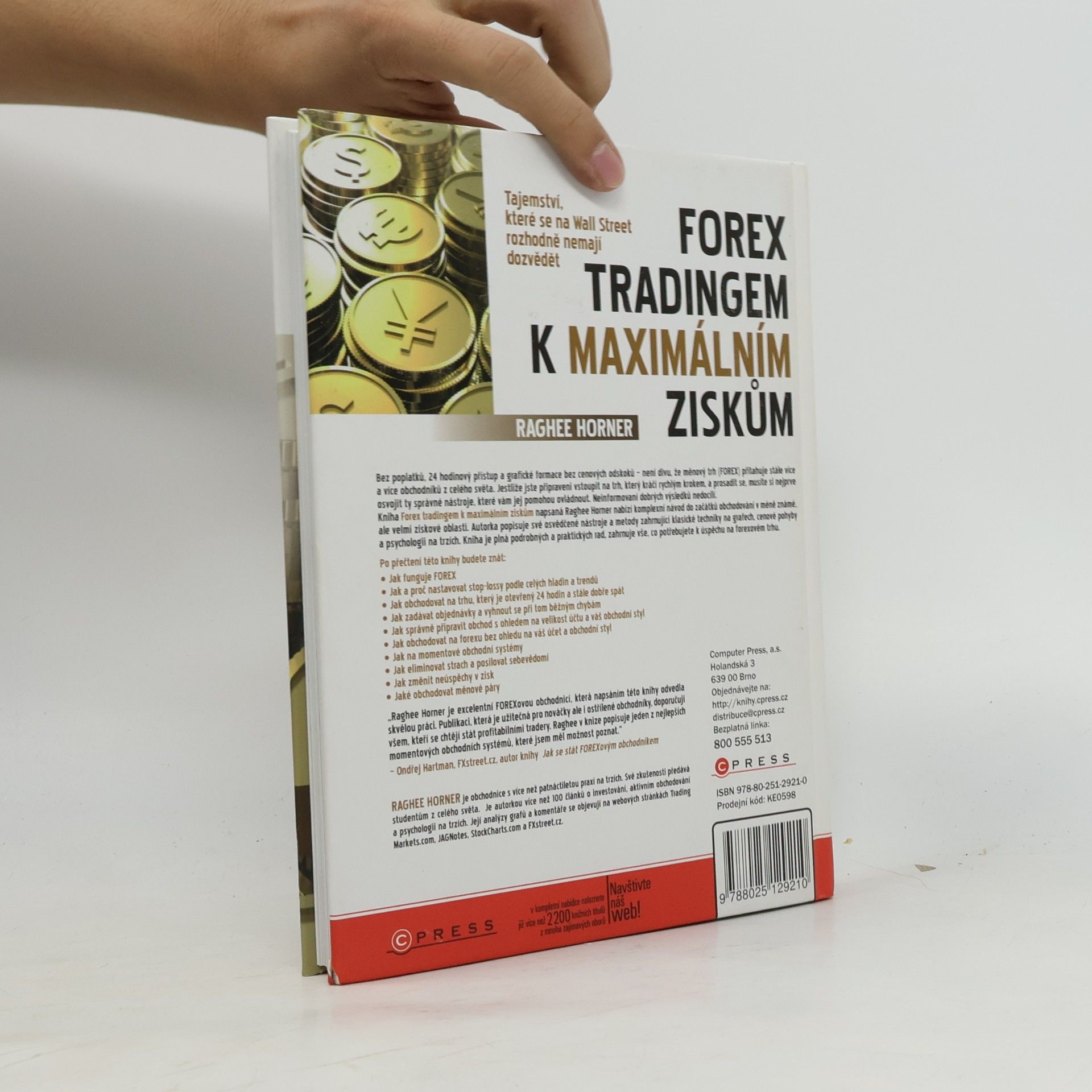 Raghee Horner Forex tradingem k maximálním ziskům