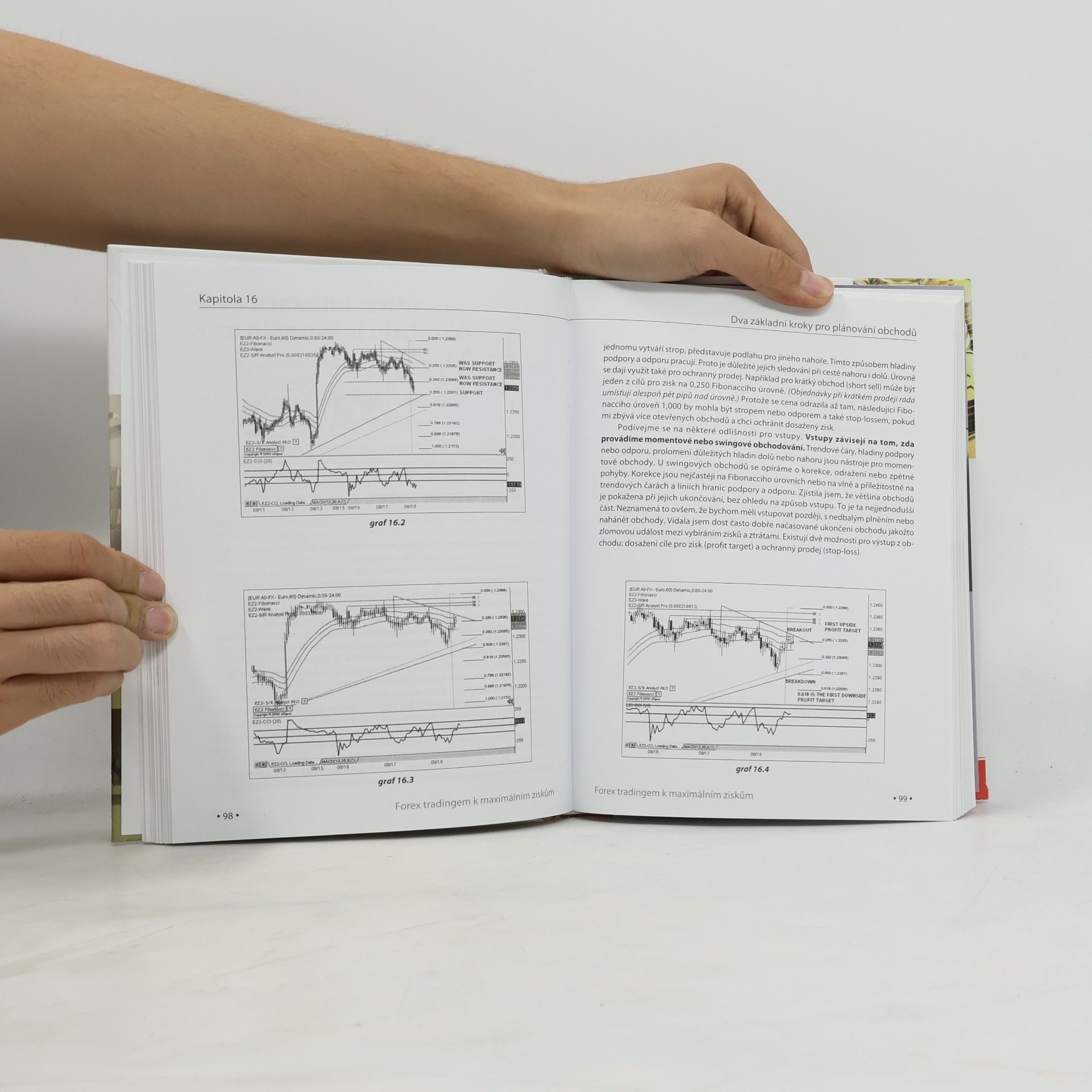 Raghee Horner Forex tradingem k maximálním ziskům