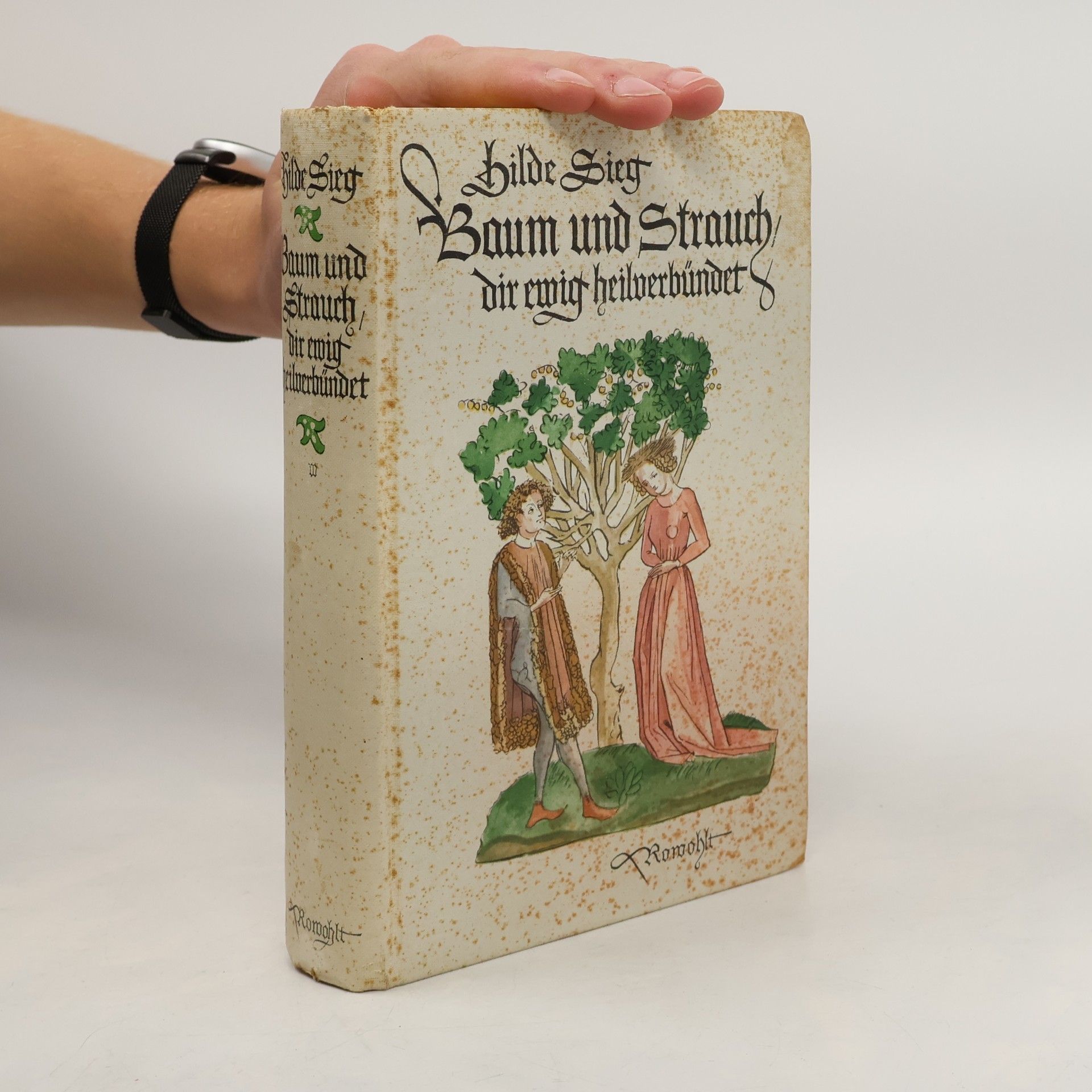 Baum und Strauch