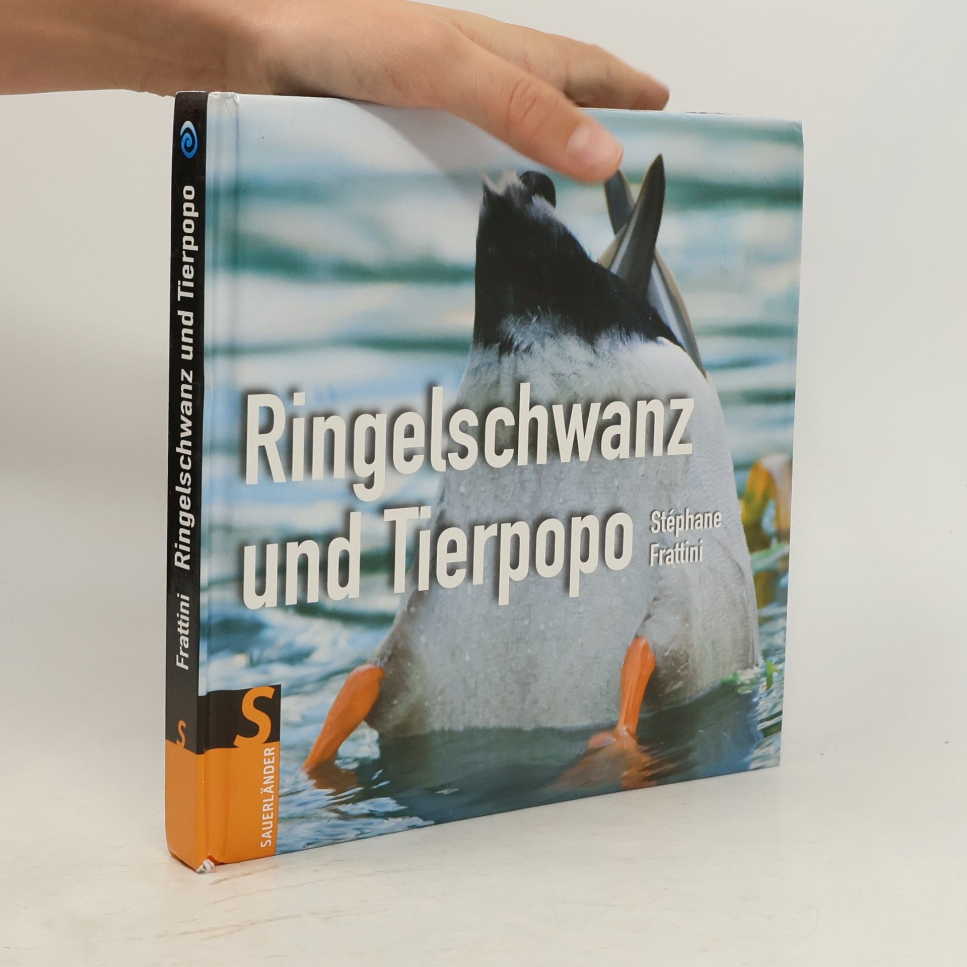 Ringelschwanz und Tierpopo