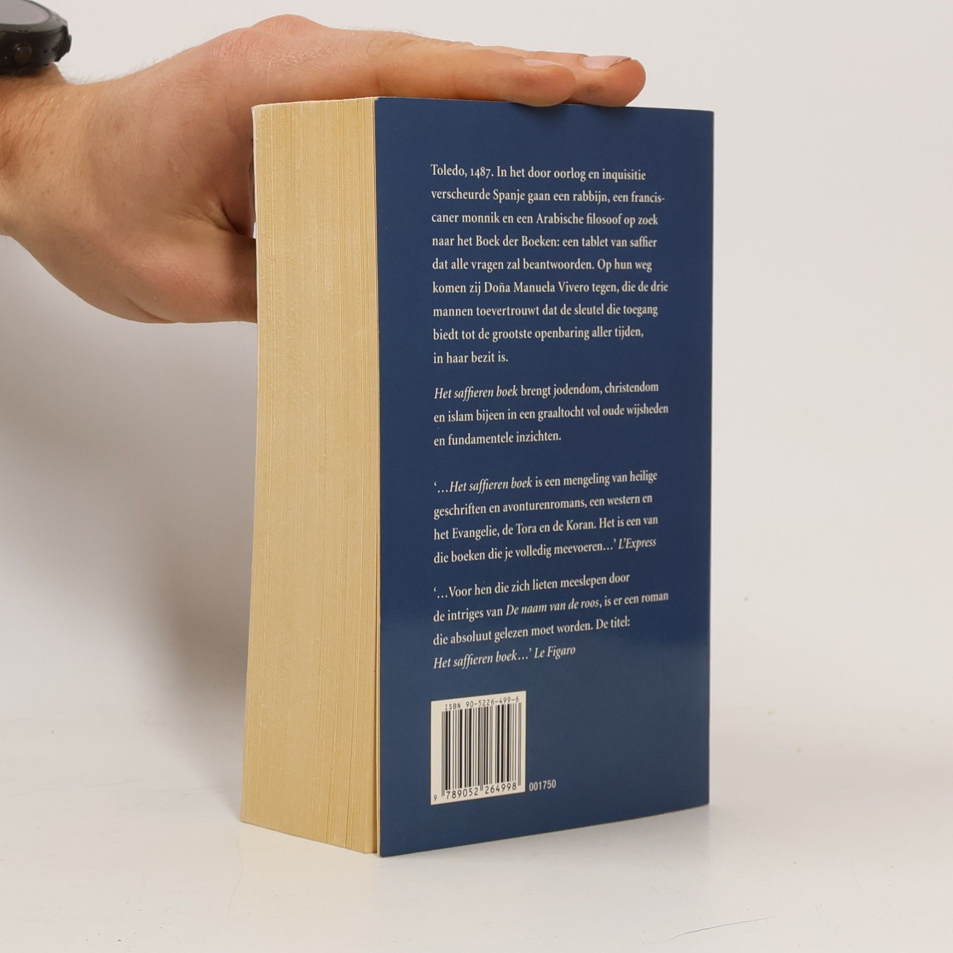Frans F. de Haan Het saffieren boek