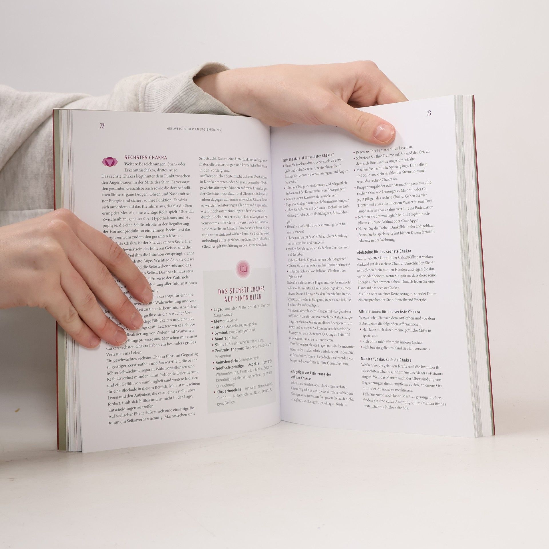 Li Wu Praxisbuch Energiemedizin