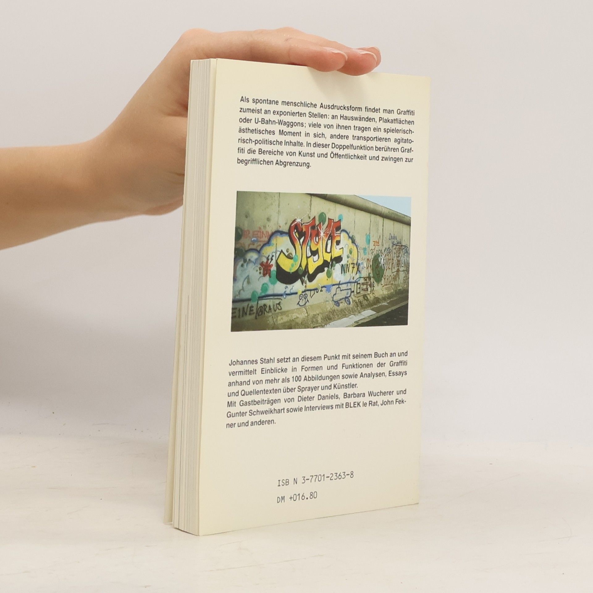 Johannes Stahl DuMont Taschenbücher - 221: An der Wand