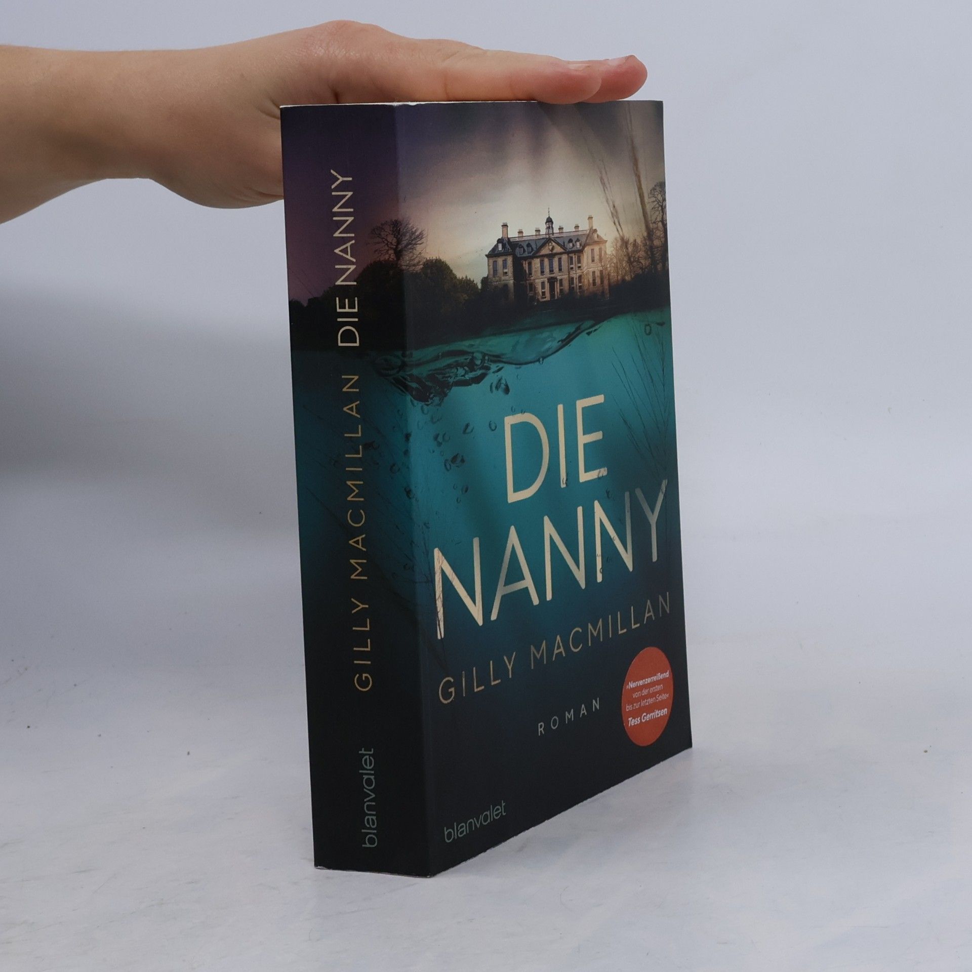 Gilly Macmillan Die Nanny