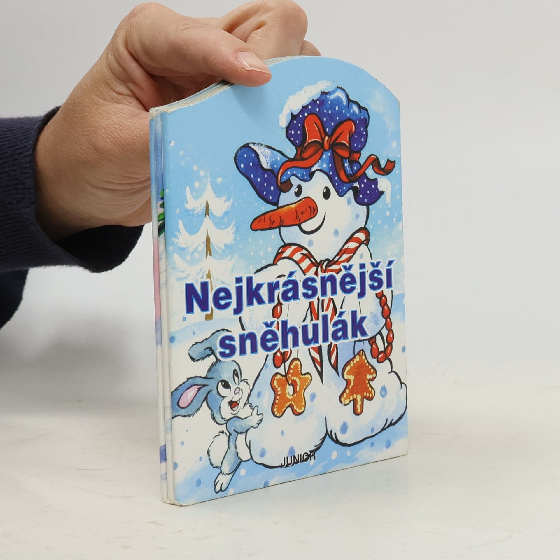 Nejkrásnější sněhulák