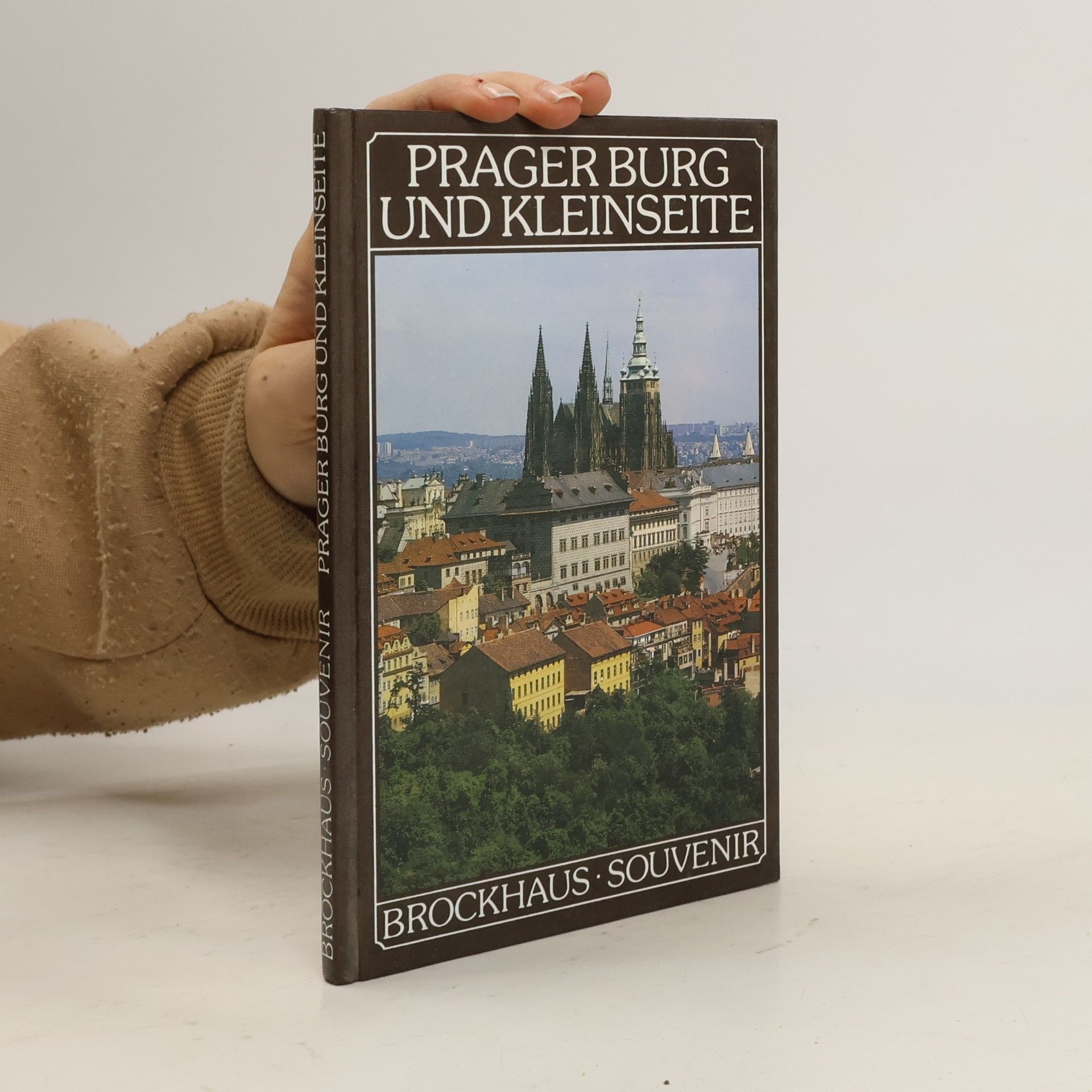 Prager Burg und Kleinseite