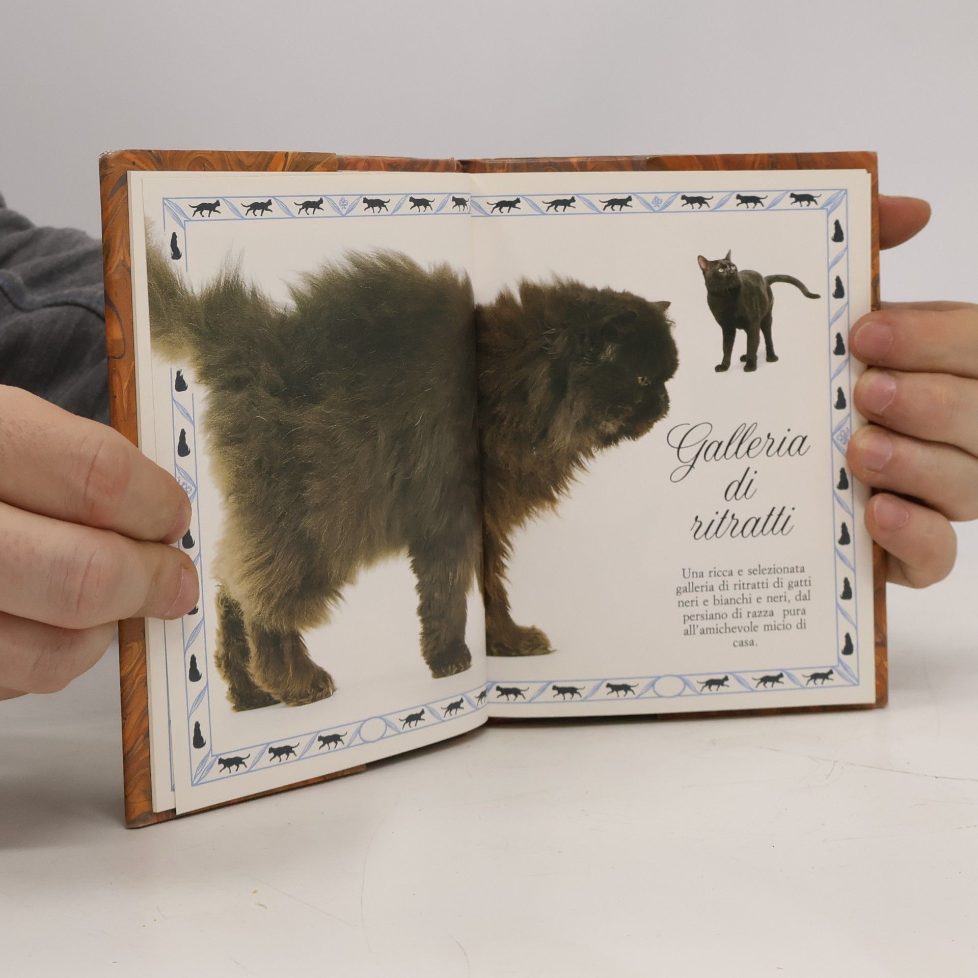 P. Fumagalli Conoscere gli animali: Il piccolo libro del gatto nero