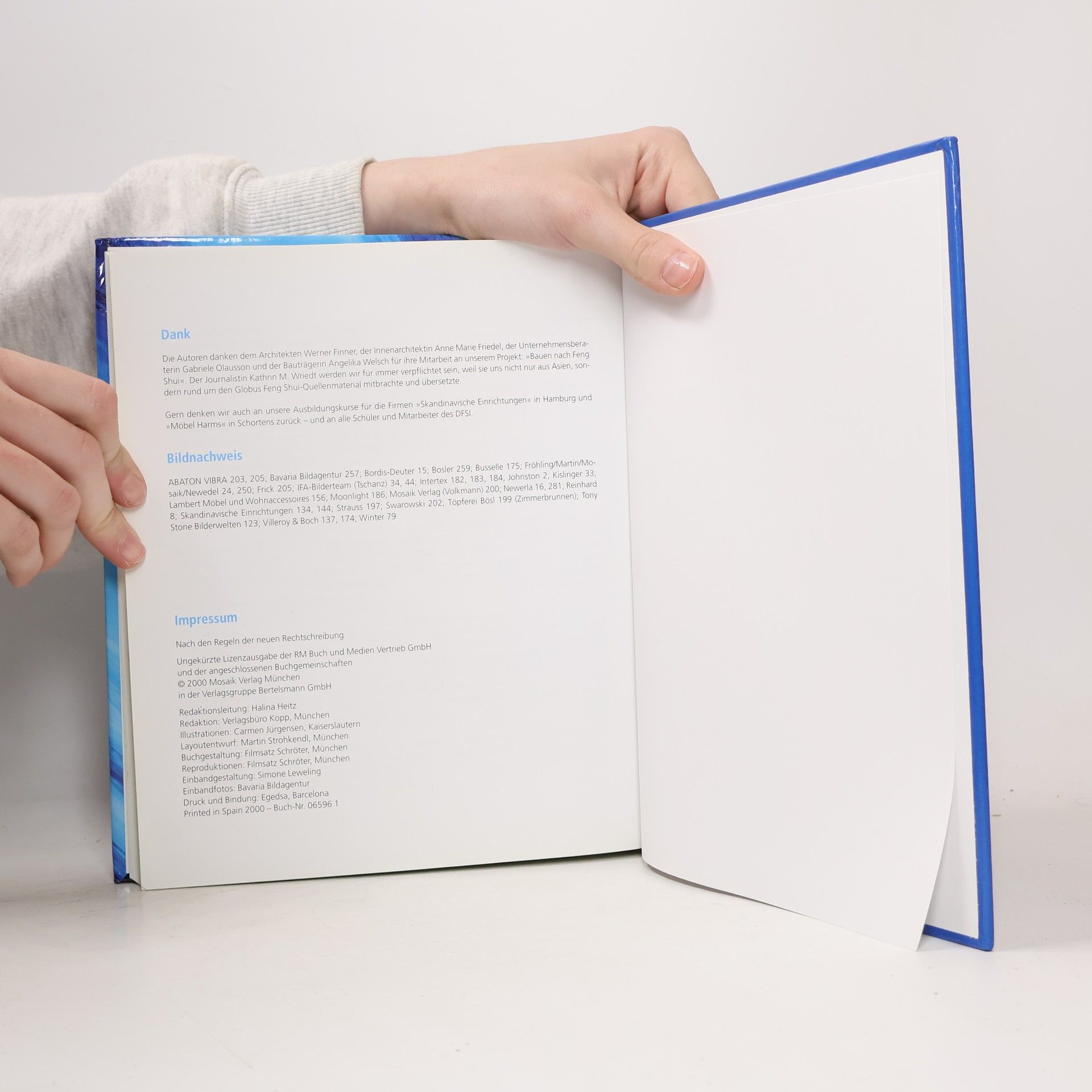 Thomas Fröhling Das grosse Feng-Shui Buch
