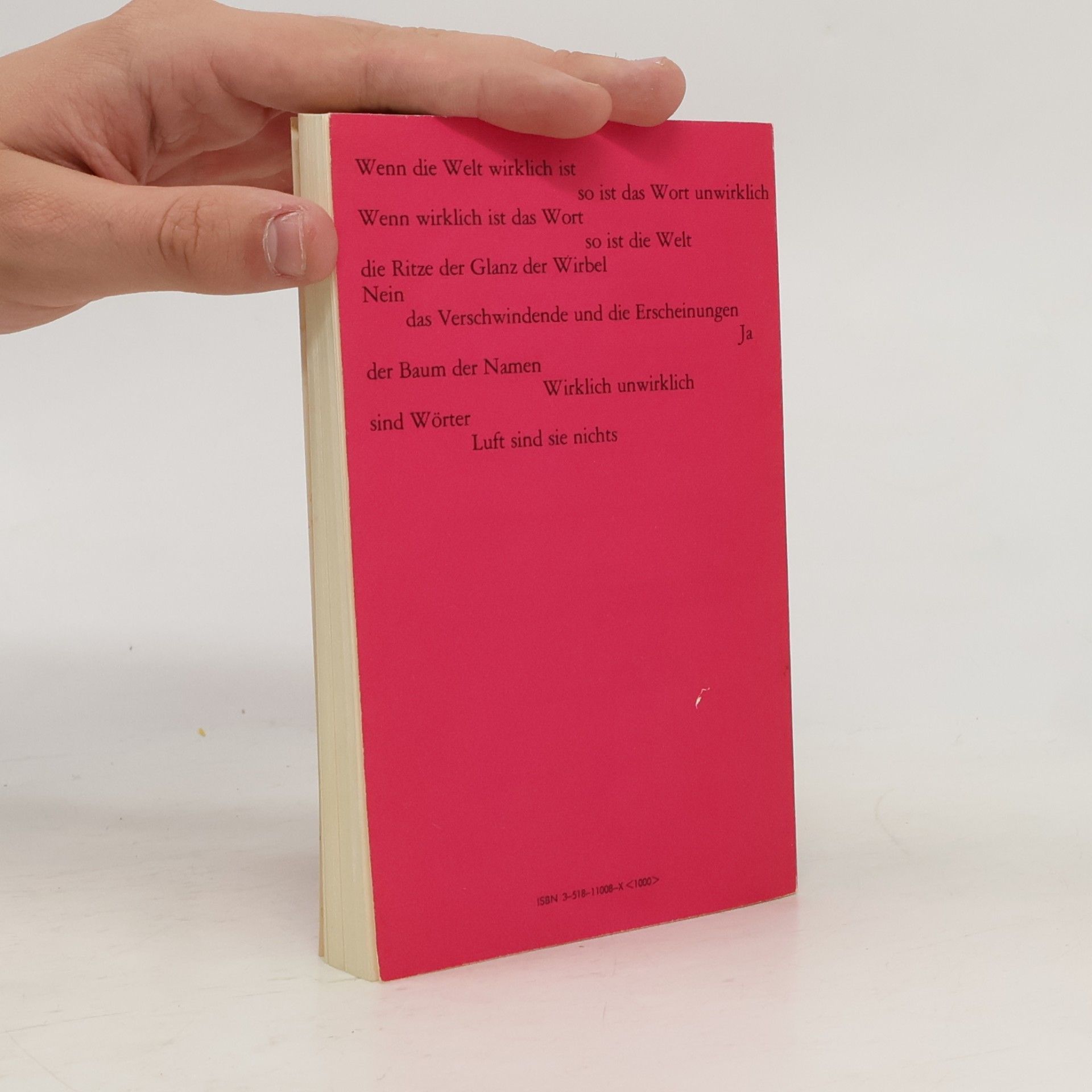 Octavio Paz Suche Nach Einer Mitte