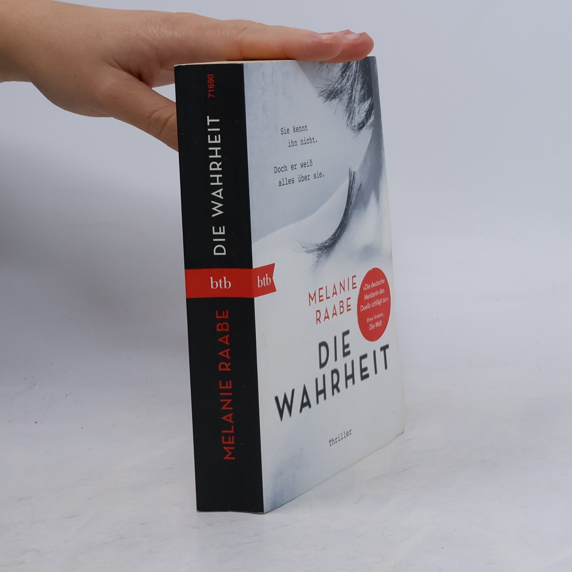 Melanie Raabe Die Wahrheit
