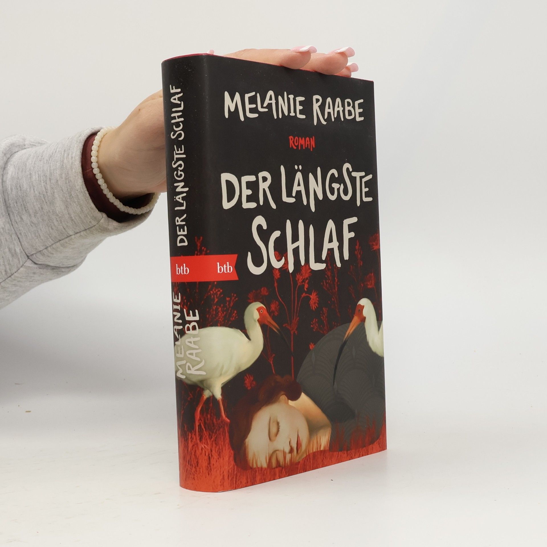 Der längste Schlaf. Roman