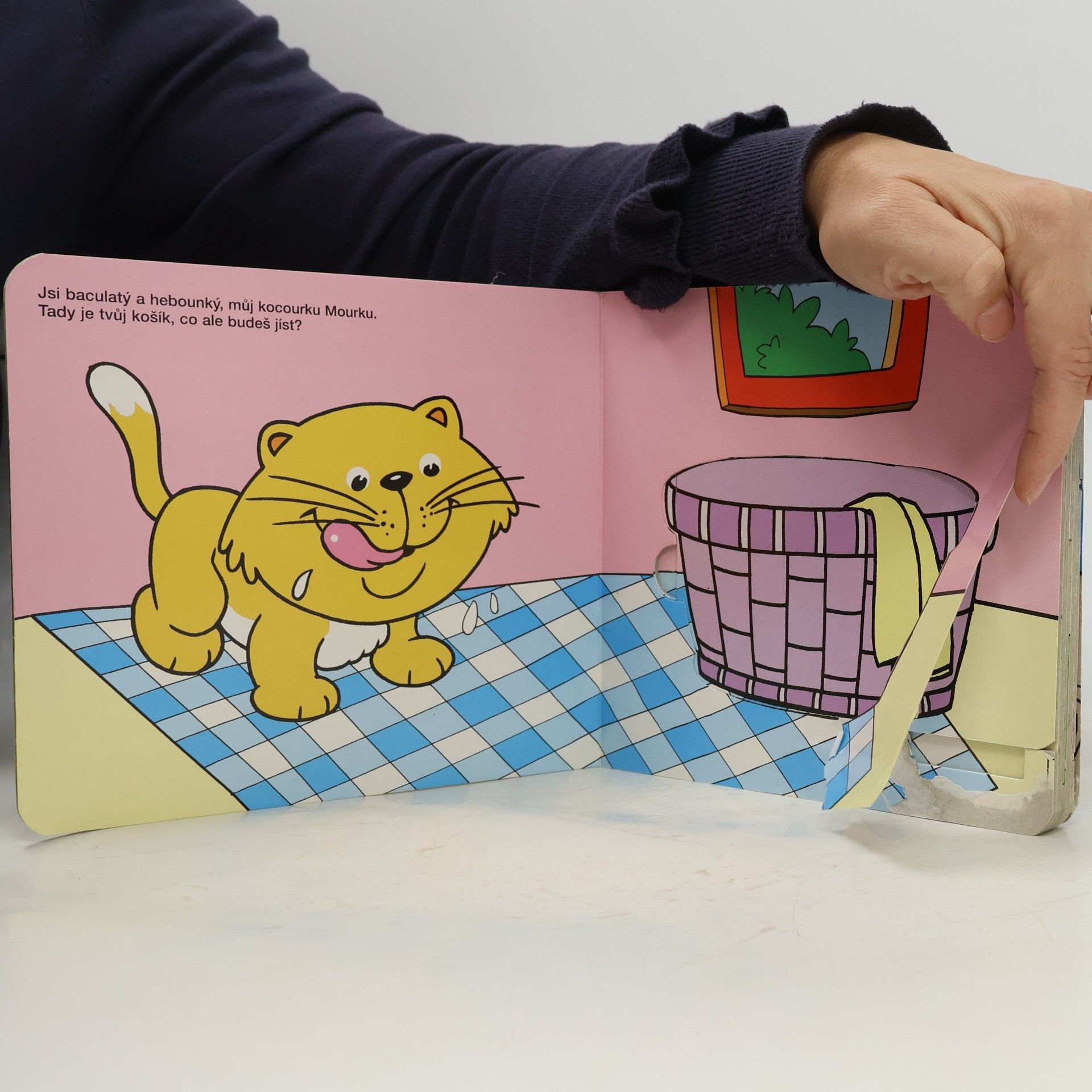 Autorenkollektiv Co mají zvířátka nejraději