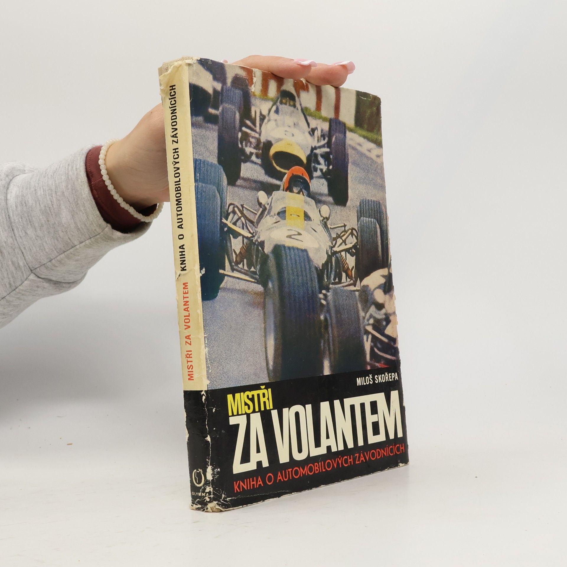 Mistři za volantem