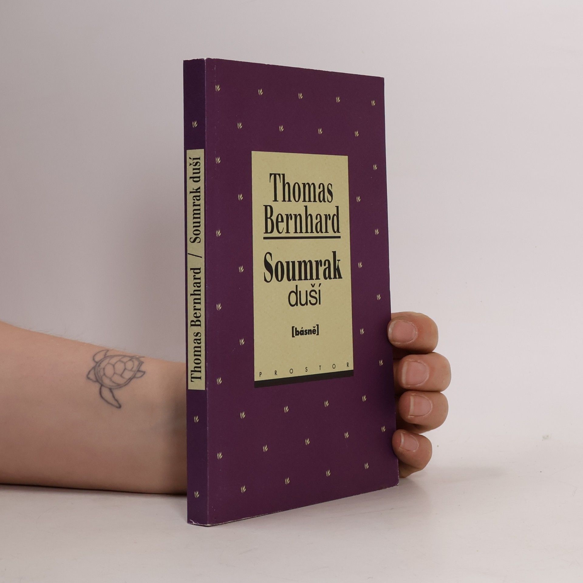 Thomas Bernhard Soumrak duší