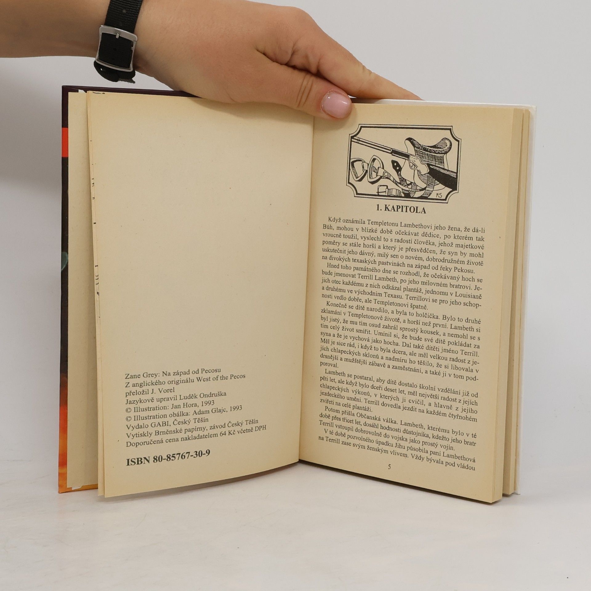 Zane Grey Na západ od Pecosu