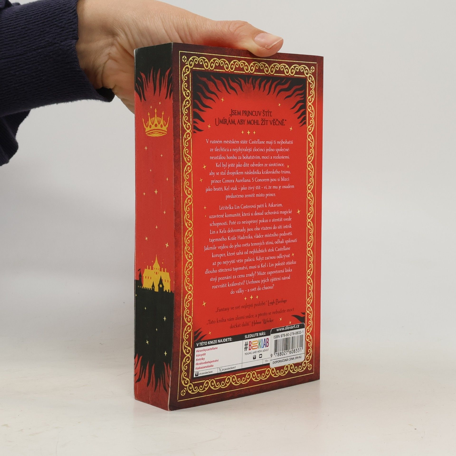 Cassandra Clare Princův štít